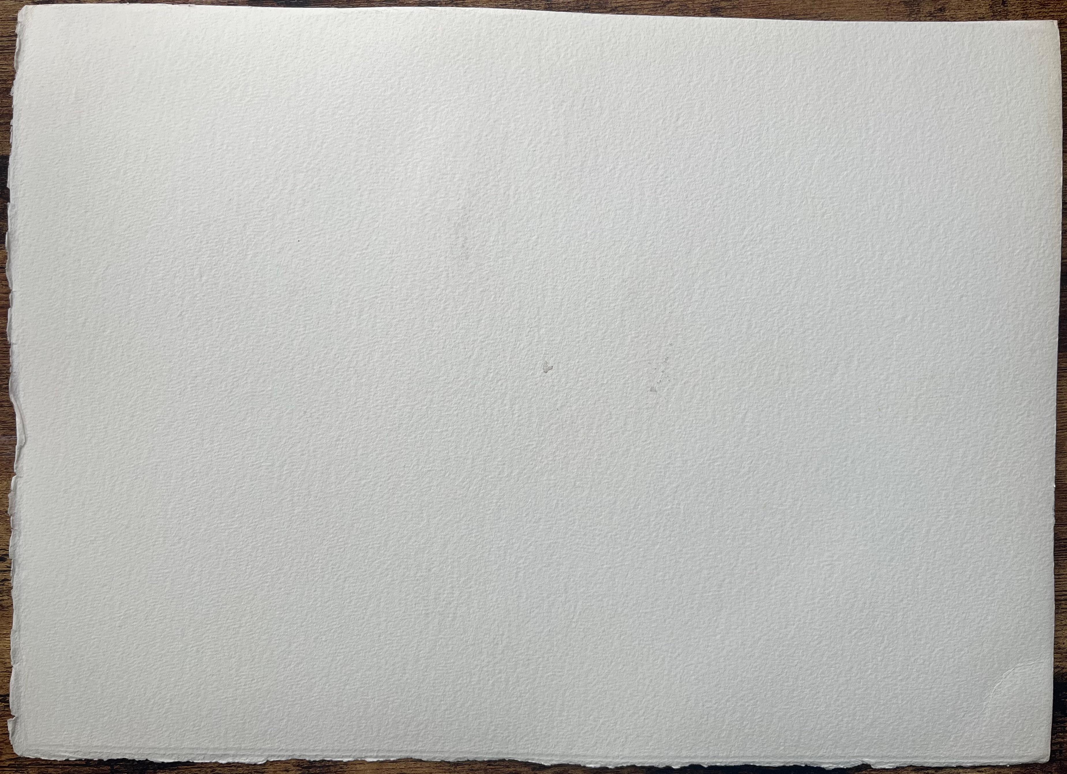 Britischer Impressionist Aquarell eines schneebedeckten Gebirges und eines Sees im Angebot 3