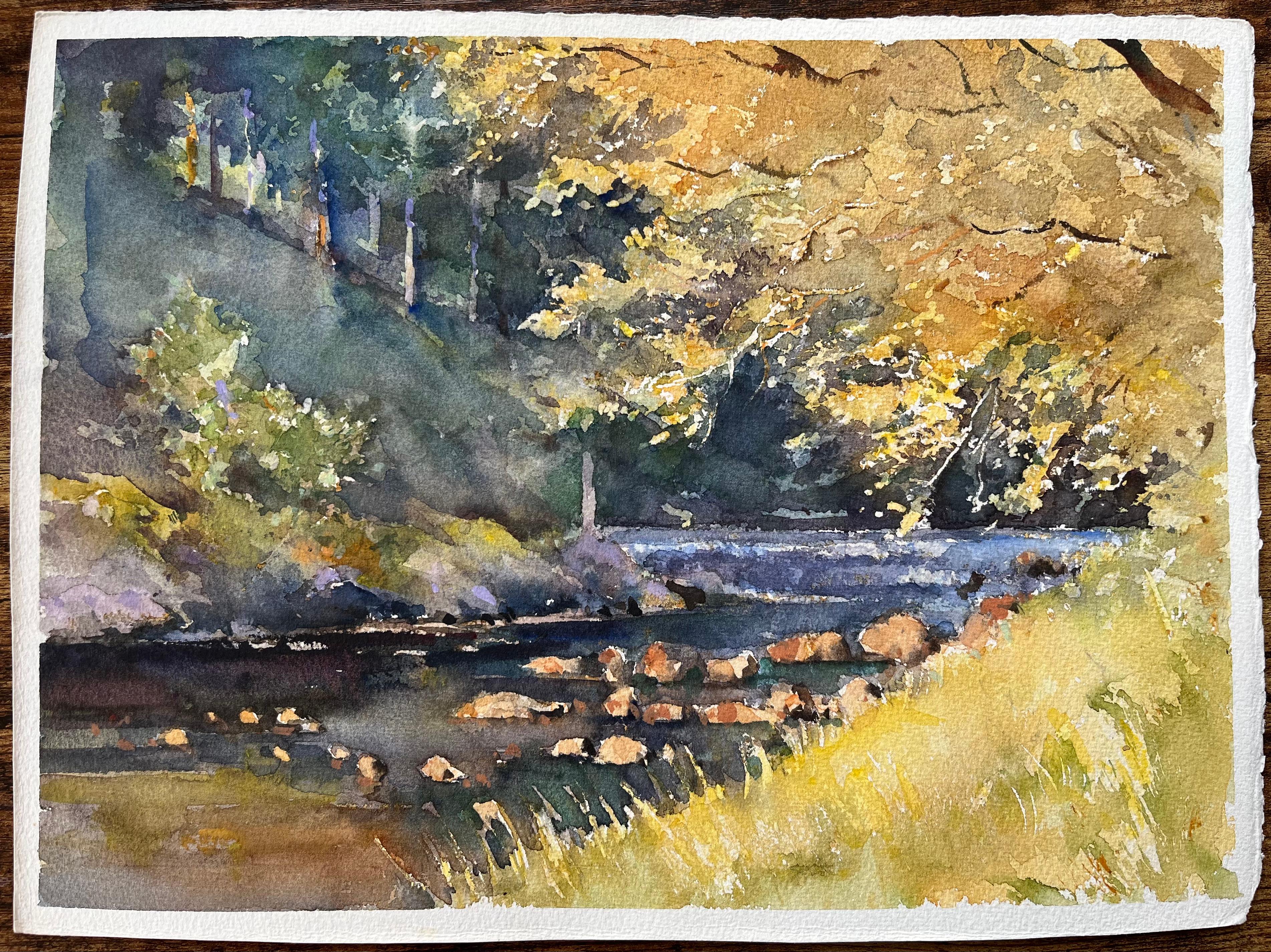 Aquarelle impressionniste britannique d'un cours de forêt éclairé - Painting de Anthony Avery