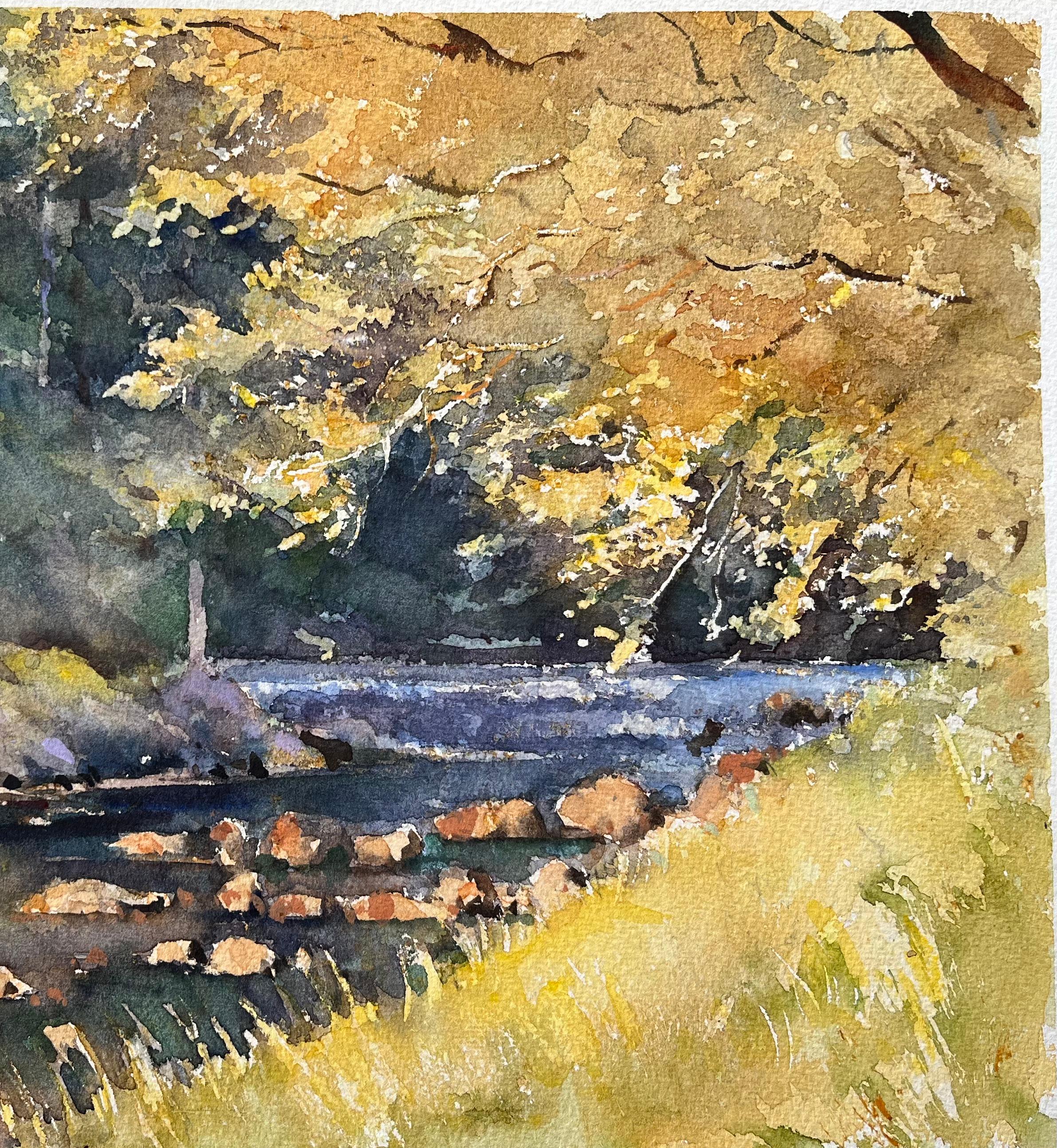 Aquarelle impressionniste britannique d'un cours de forêt éclairé - Impressionnisme Painting par Anthony Avery