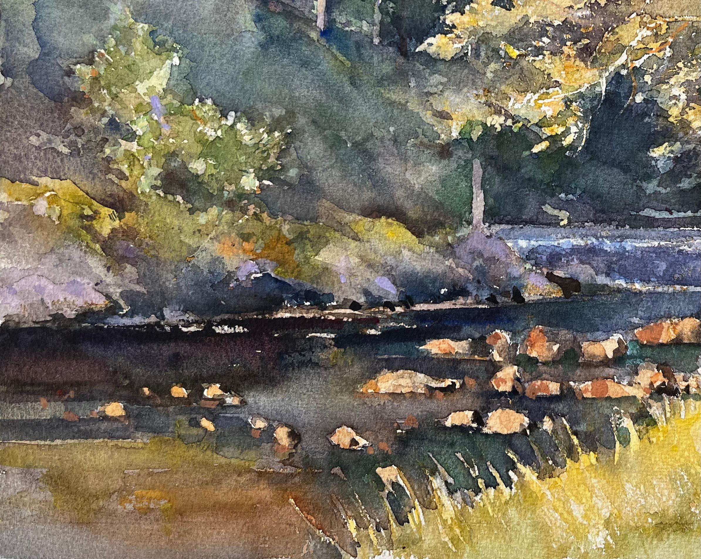 Aquarelle impressionniste britannique d'un cours de forêt éclairé - Marron Landscape Painting par Anthony Avery