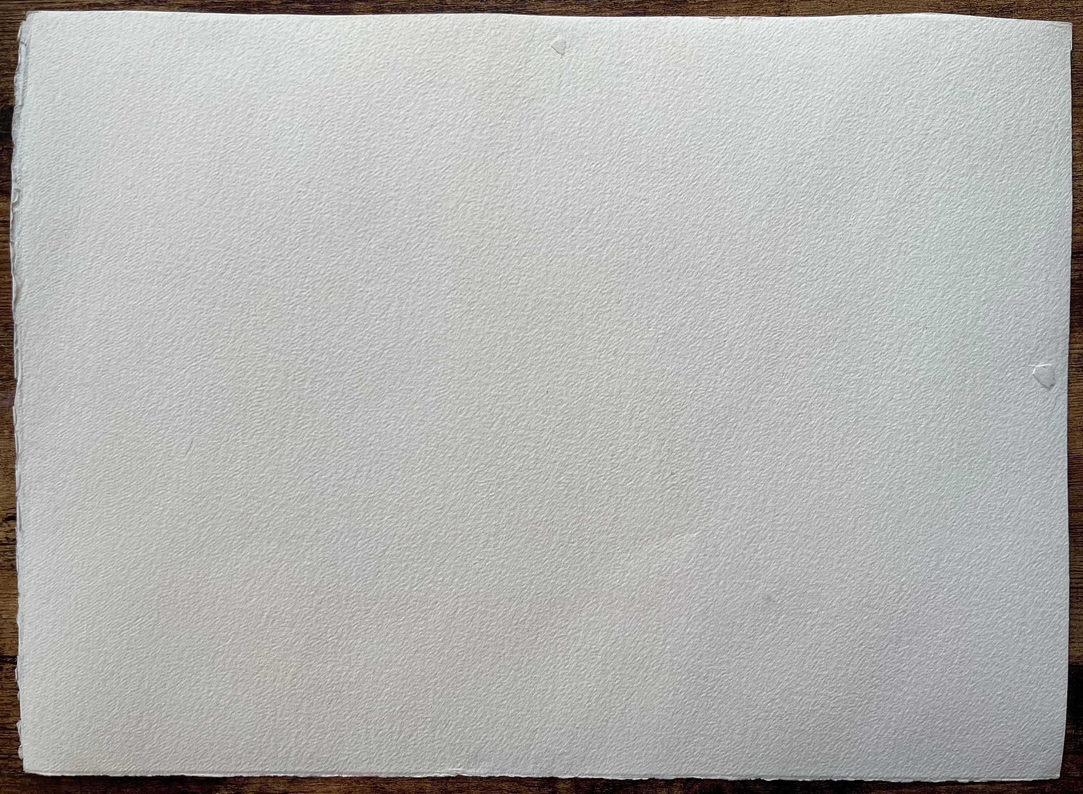 Britischer Impressionist Aquarell eines sonnenbeschienenen Gartens mit Baum und Blumen im Angebot 2