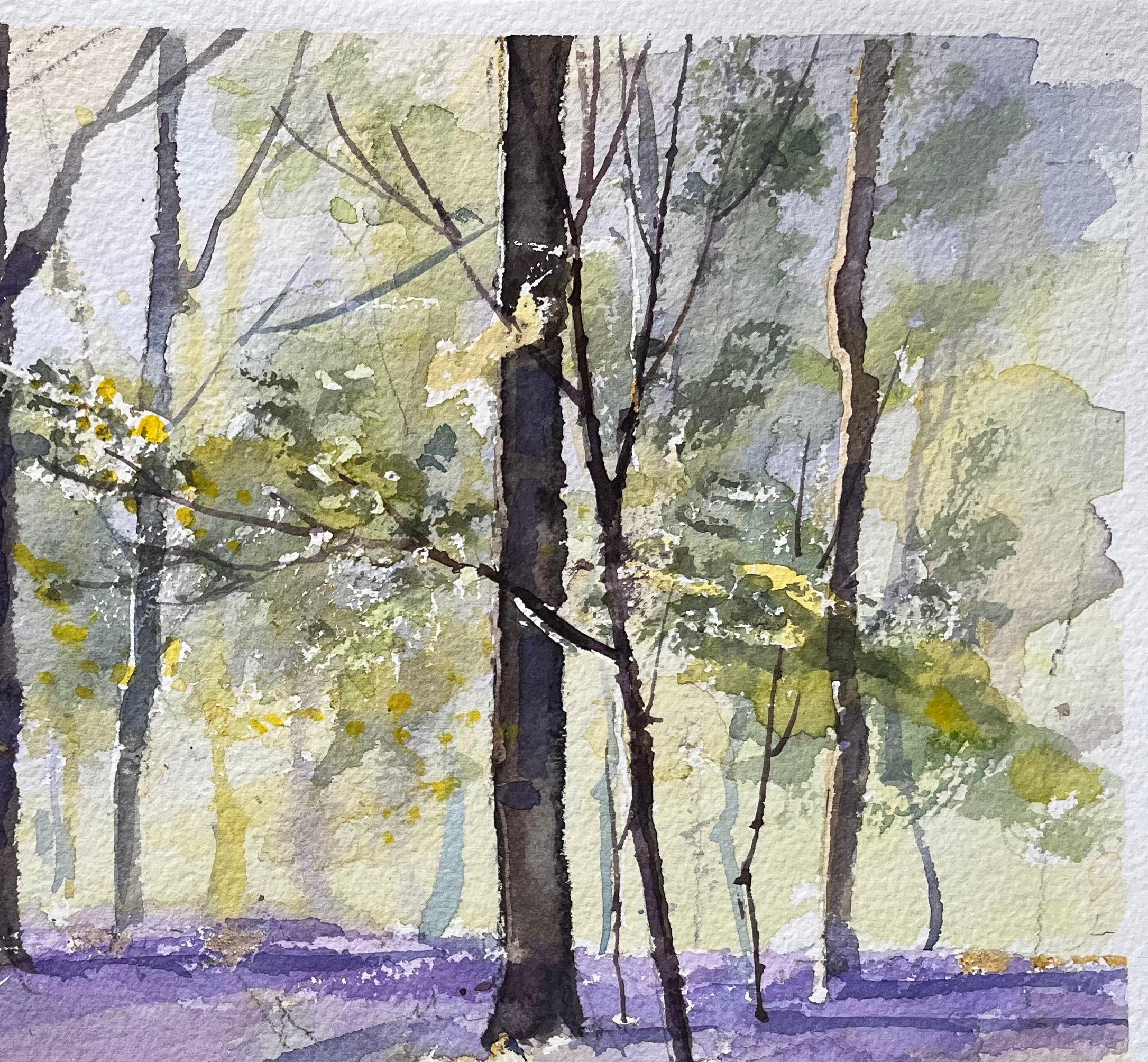 Aquarelle impressionniste britannique d'une scène de bois ensoleillée avec des cloches bleues - Gris Landscape Painting par Anthony Avery