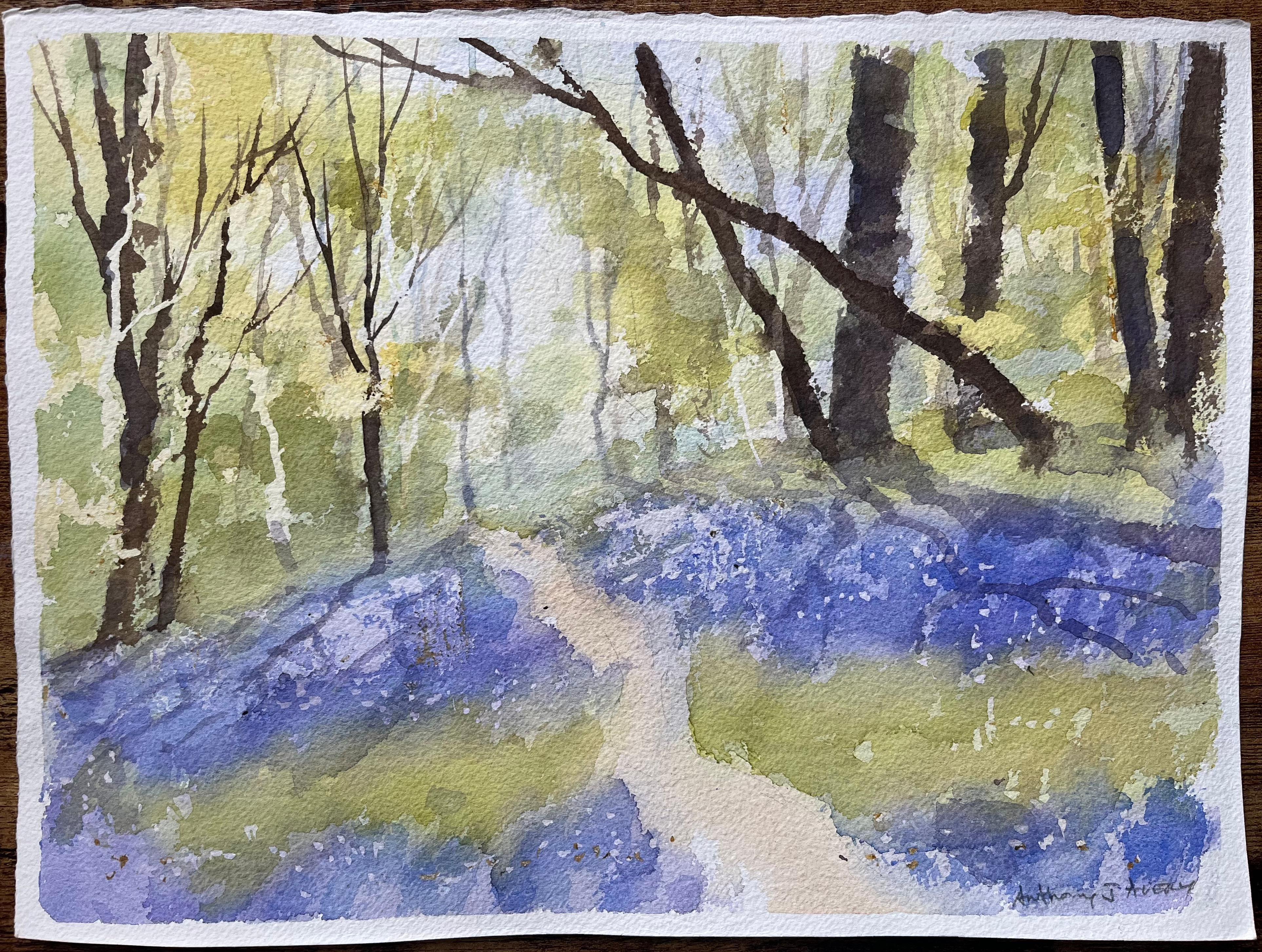 Acuarela impresionista británica de un sendero del bosque con campanillas de primavera - Painting de Anthony Avery