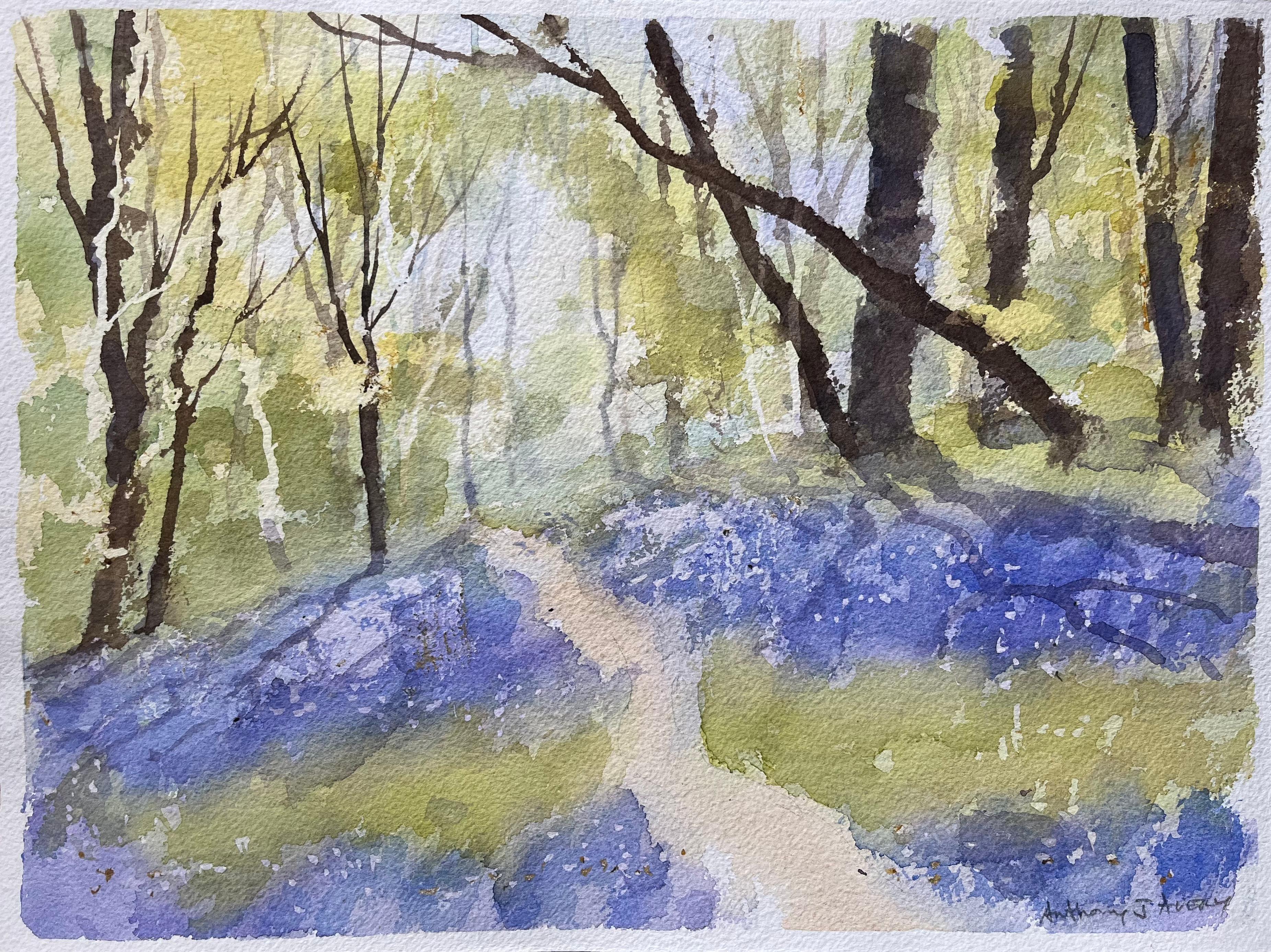 Landscape Painting de Anthony Avery - Acuarela impresionista británica de un sendero del bosque con campanillas de primavera