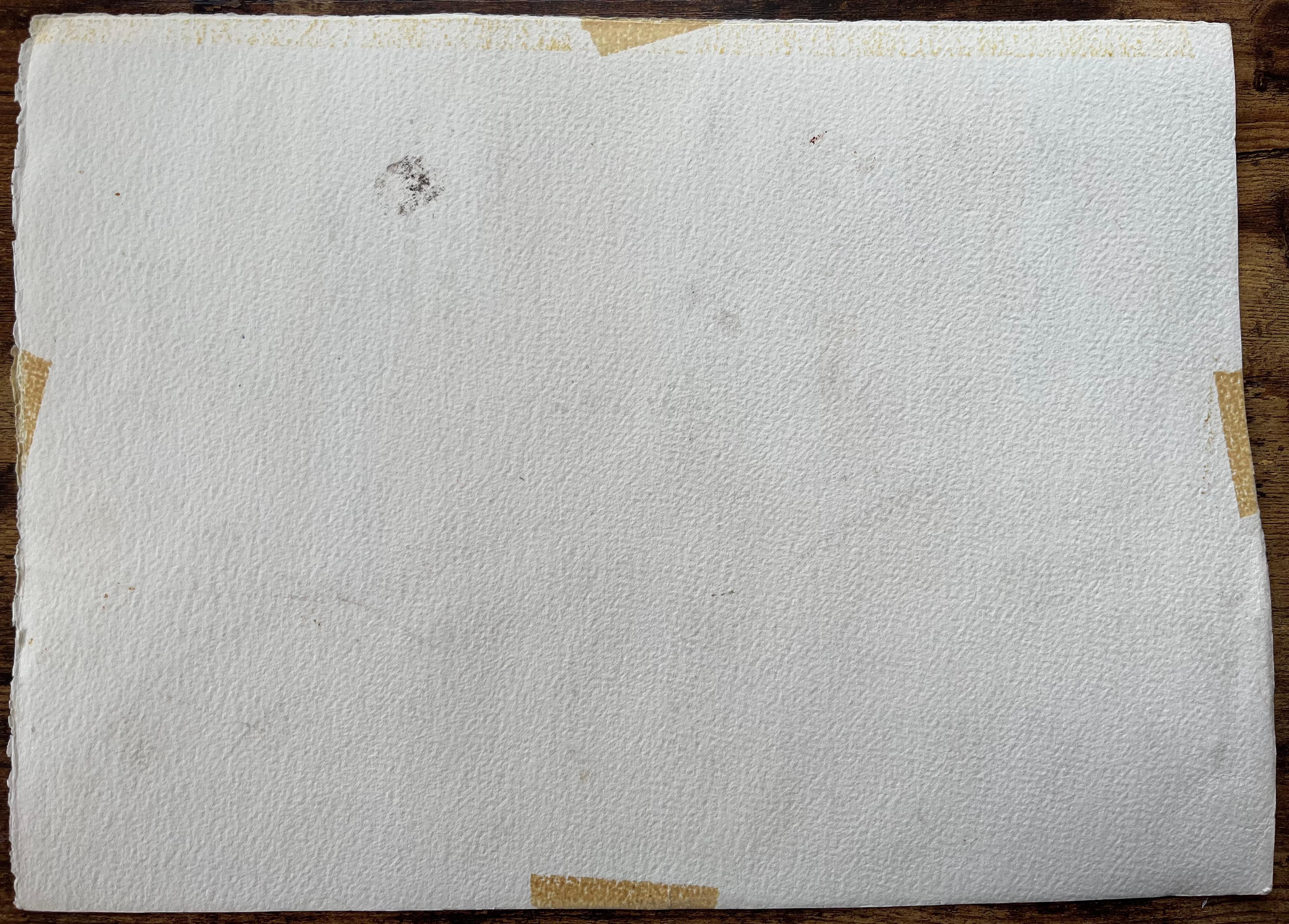 Britisches impressionistisches Aquarell eines Waldsteinen im frühen Frühjahr im Angebot 2