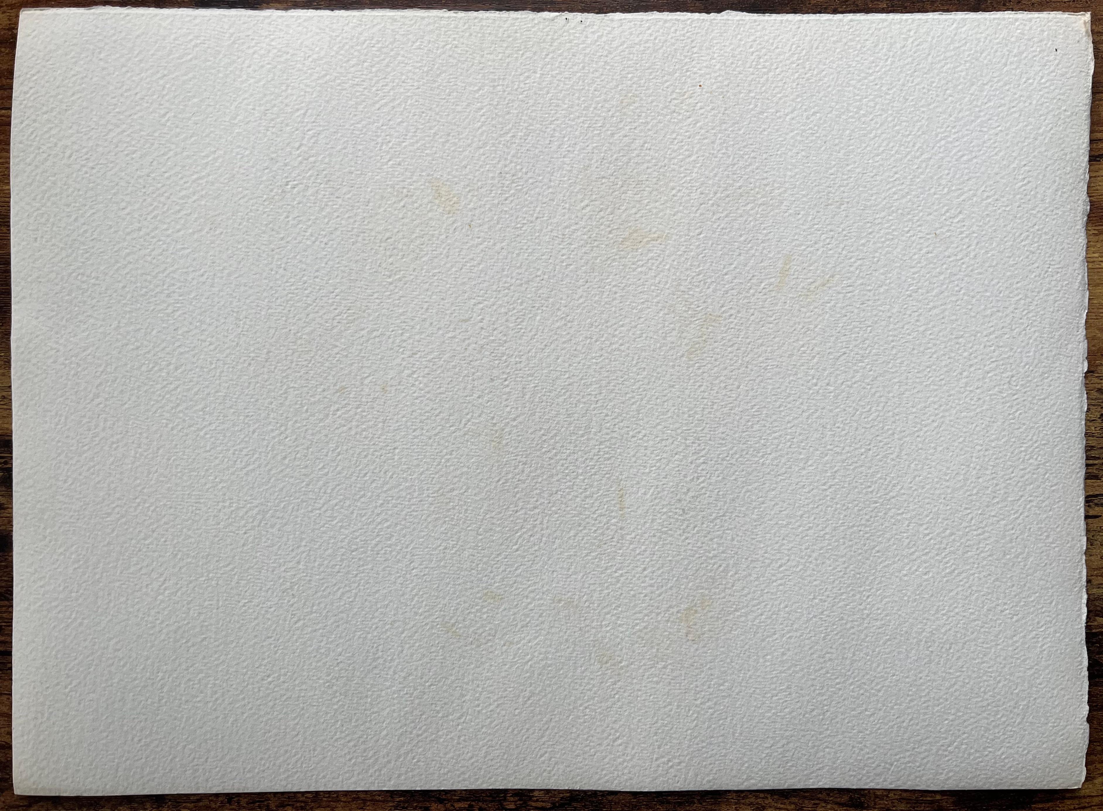 Aquarelle impressionniste britannique d'un sentier de campagne au coucher du soleil avec silhouette d'arbre en vente 1