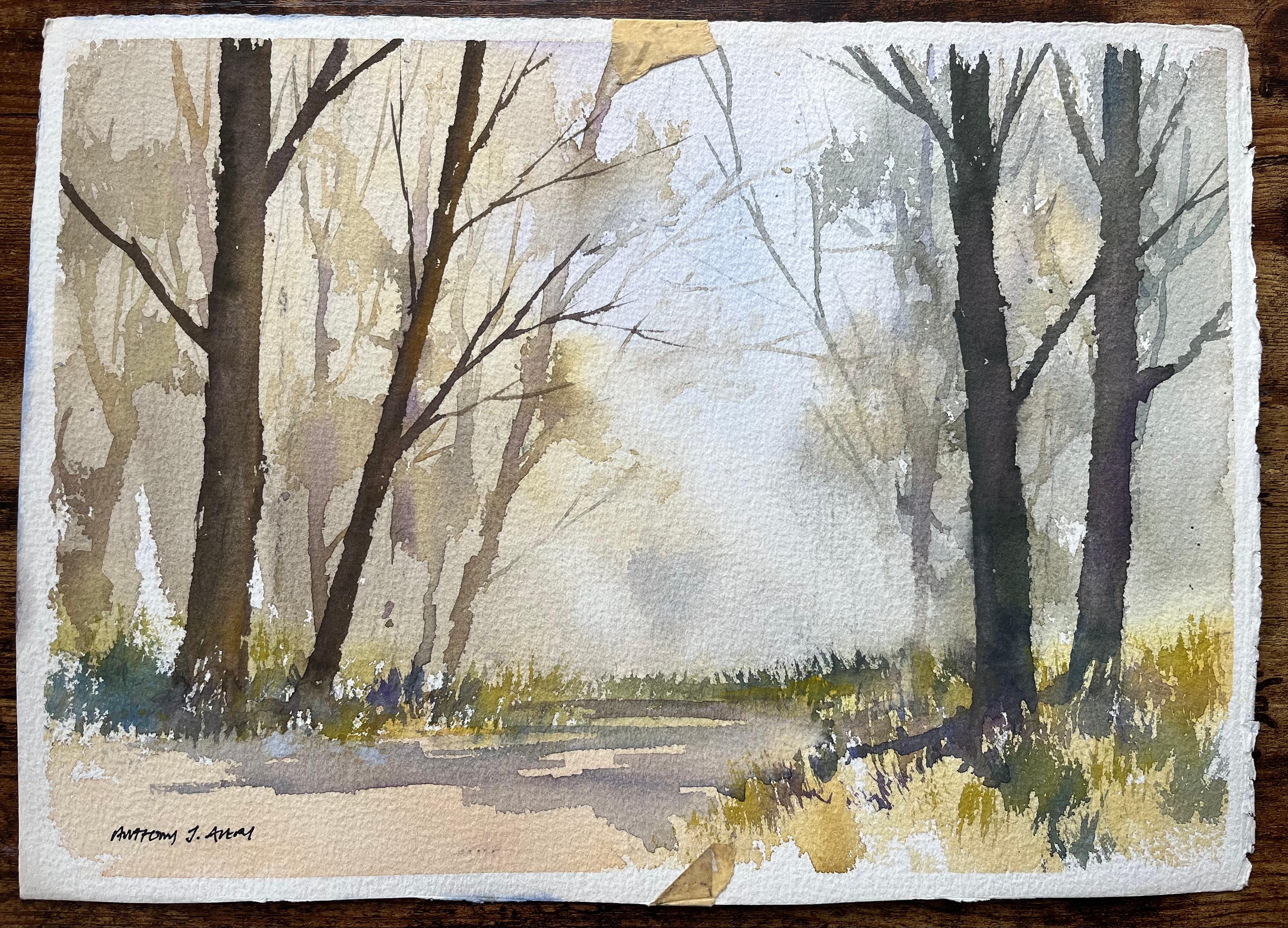 Britischer Impressionist Aquarell von nebligen Waldweg – Painting von Anthony Avery