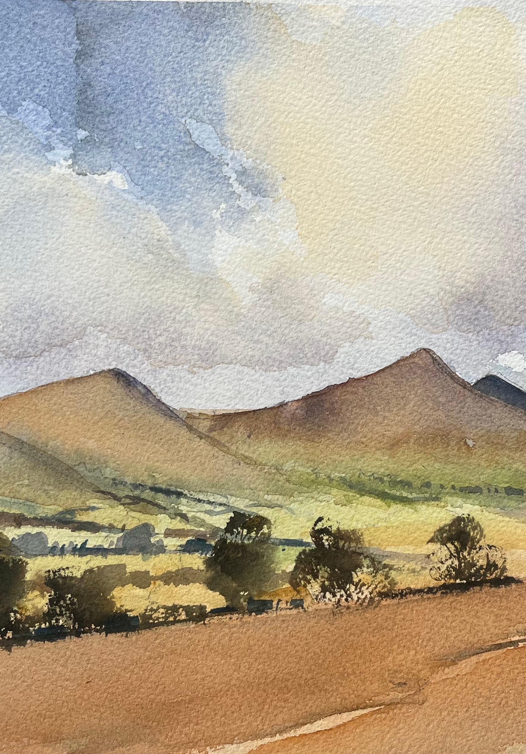 Acquerello impressionista britannico di Roll & Hill e paesaggio a cielo aperto - Landscape Painting Grigio di Anthony Avery