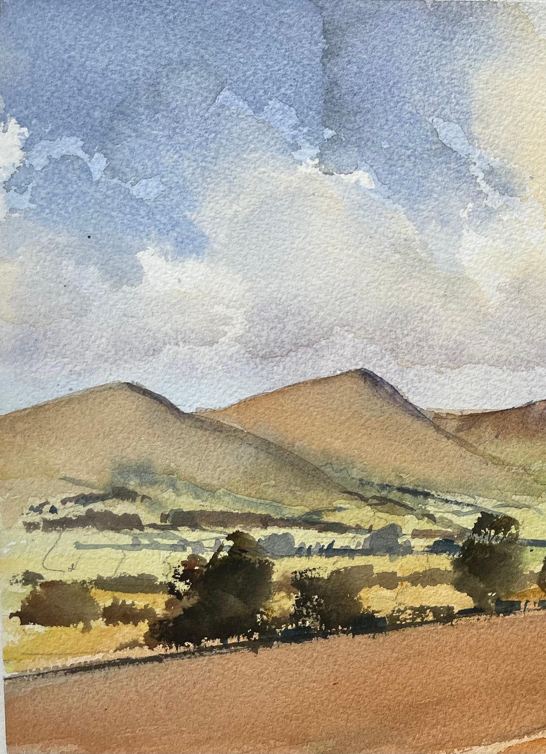 Titolo: Acquerello impressionista britannico di un paesaggio di Roll & Hill e Open Sky
di Anthony Avery (Regno Unito 1946-2023)
Acquerello originale su carta per artisti, senza cornice
Dimensioni: 11 x 15,5 pollici (altezza x larghezza)
Condit: