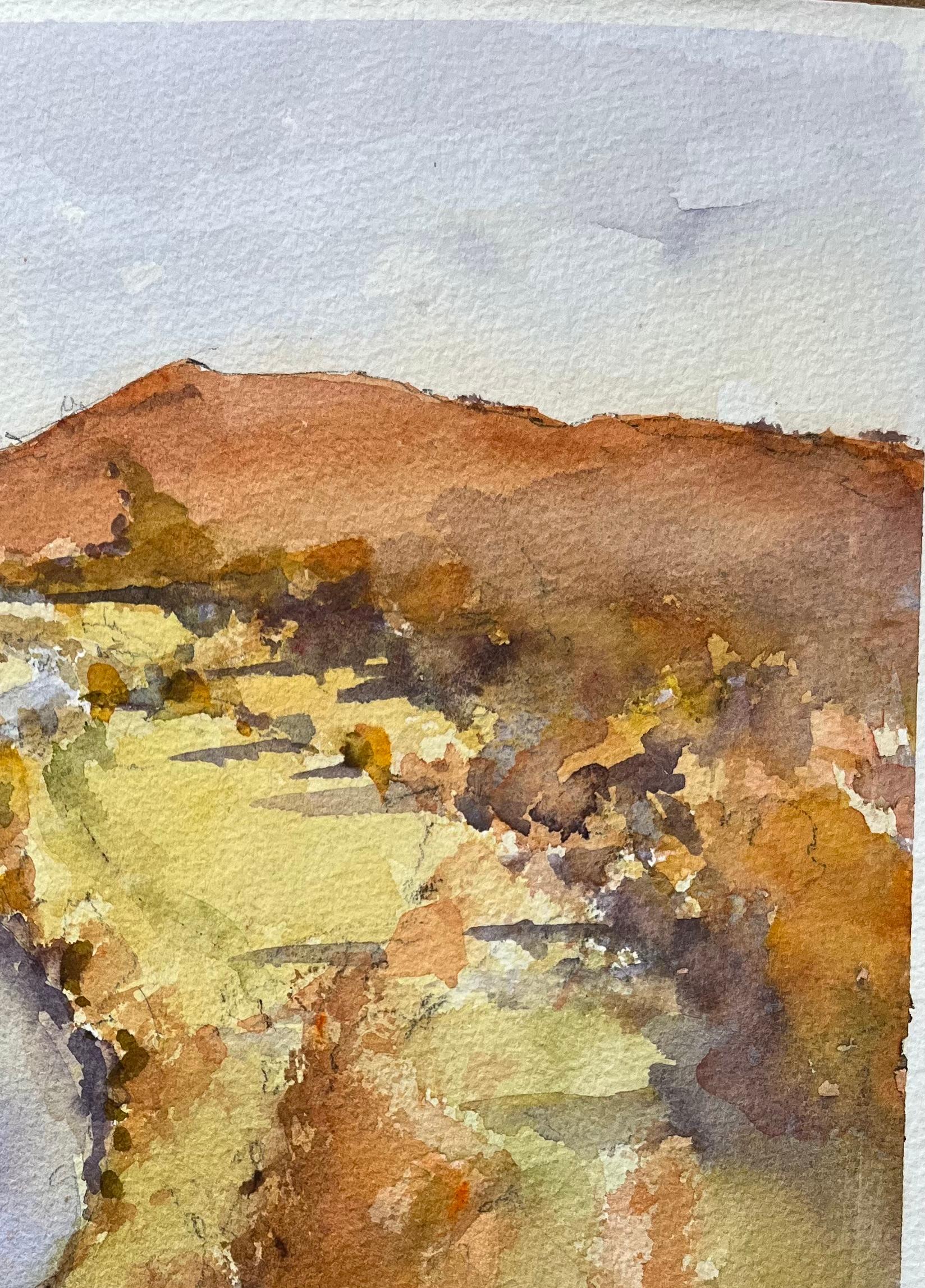 Aquarelle impressionniste britannique des Rolling Hills et de la vallée de la rivière à l'automne - Marron Landscape Painting par Anthony Avery