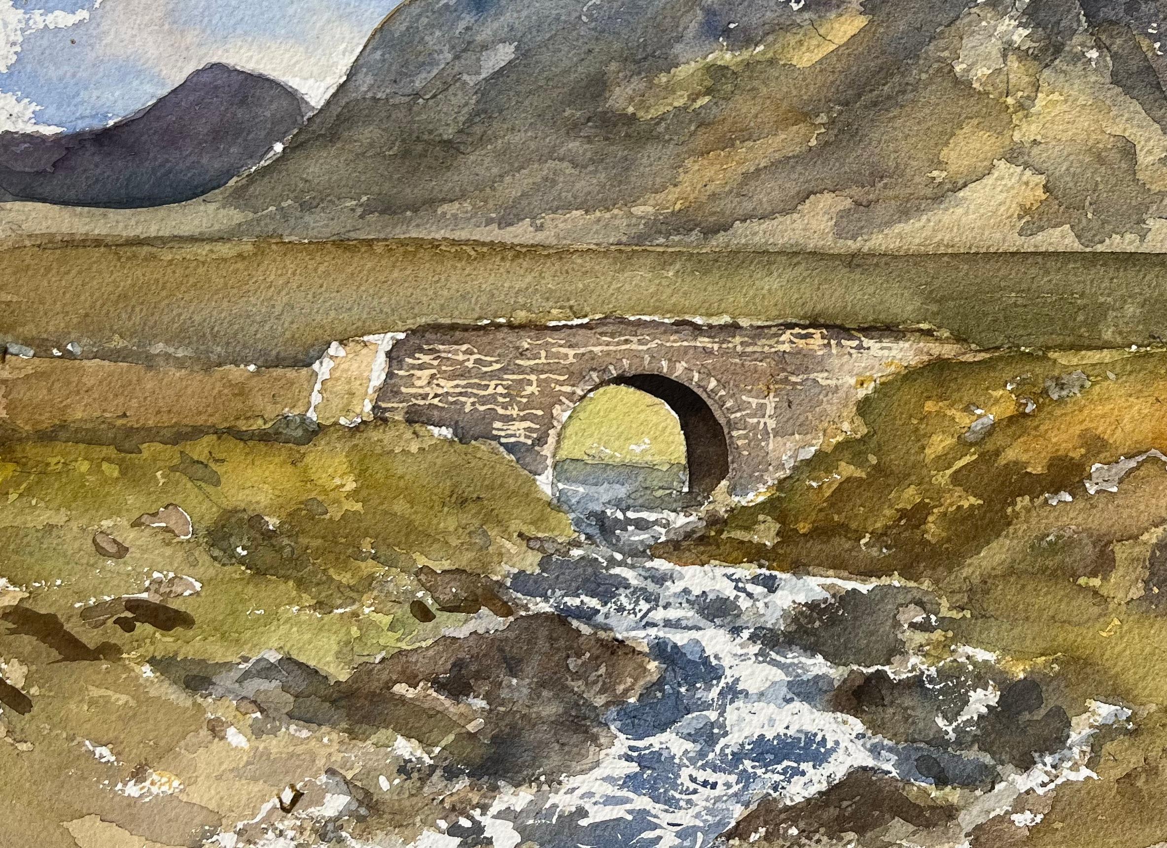 Britischer Impressionist Aquarell von Suilven an der Kylestrone Road (Braun), Landscape Painting, von Anthony Avery