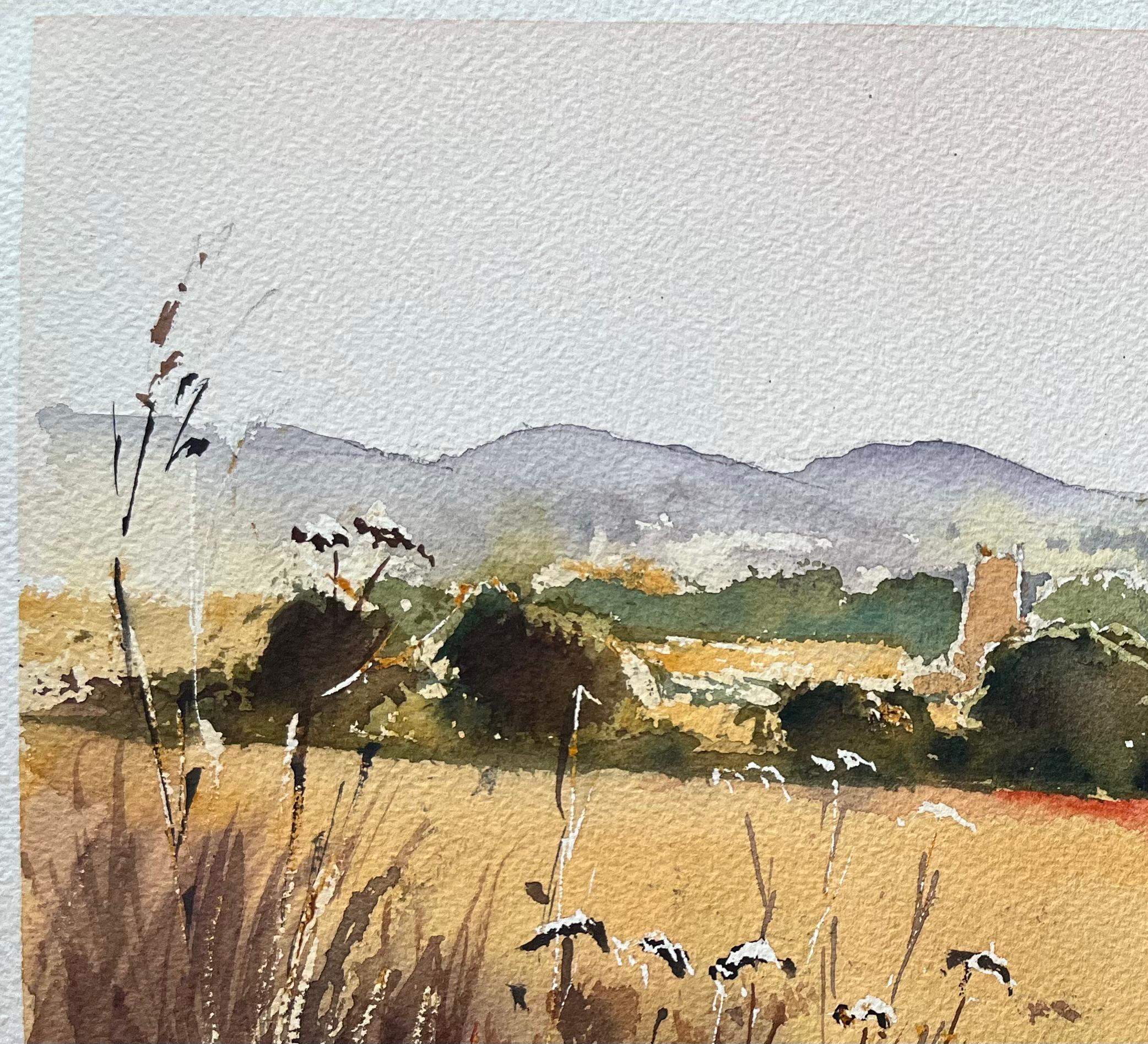 Titel: Britischer Impressionist Aquarell von Sommerfeldern mit Wildblumen und Church's
Von Anthony Avery (Brite 1946-2023)
Original-Aquarell auf Künstlerpapier, ungerahmt
Unterschrieben: Ja
Abmessungen: 11 x 15 Zoll (Höhe x Breite)
Zustand: Gut, mit