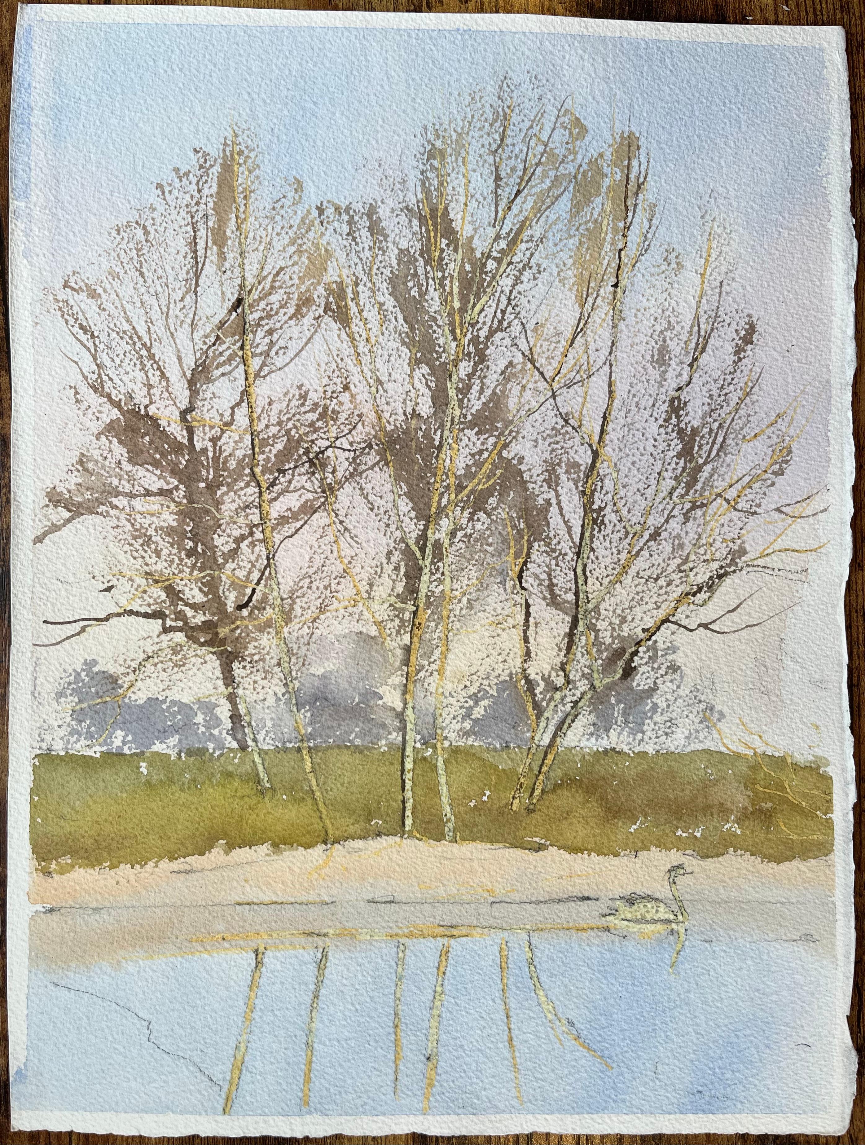Britischer Impressionist Aquarell von Schwan gleitet durch den Fluss – Painting von Anthony Avery