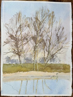 Acquerello impressionista britannico raffigurante un cigno che scivola lungo il fiume