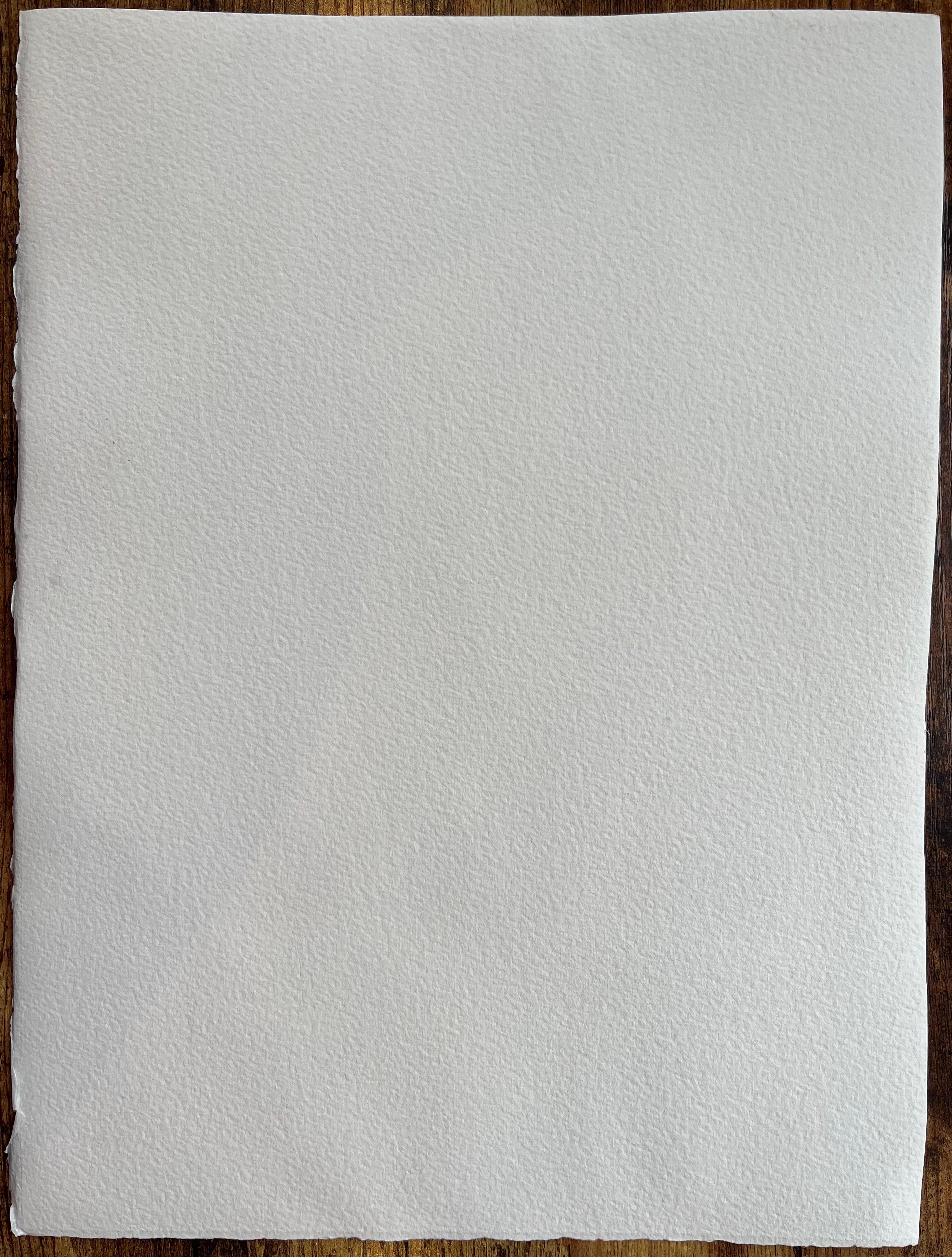 Britischer Impressionist Aquarell von Schwan gleitet durch den Fluss im Angebot 2