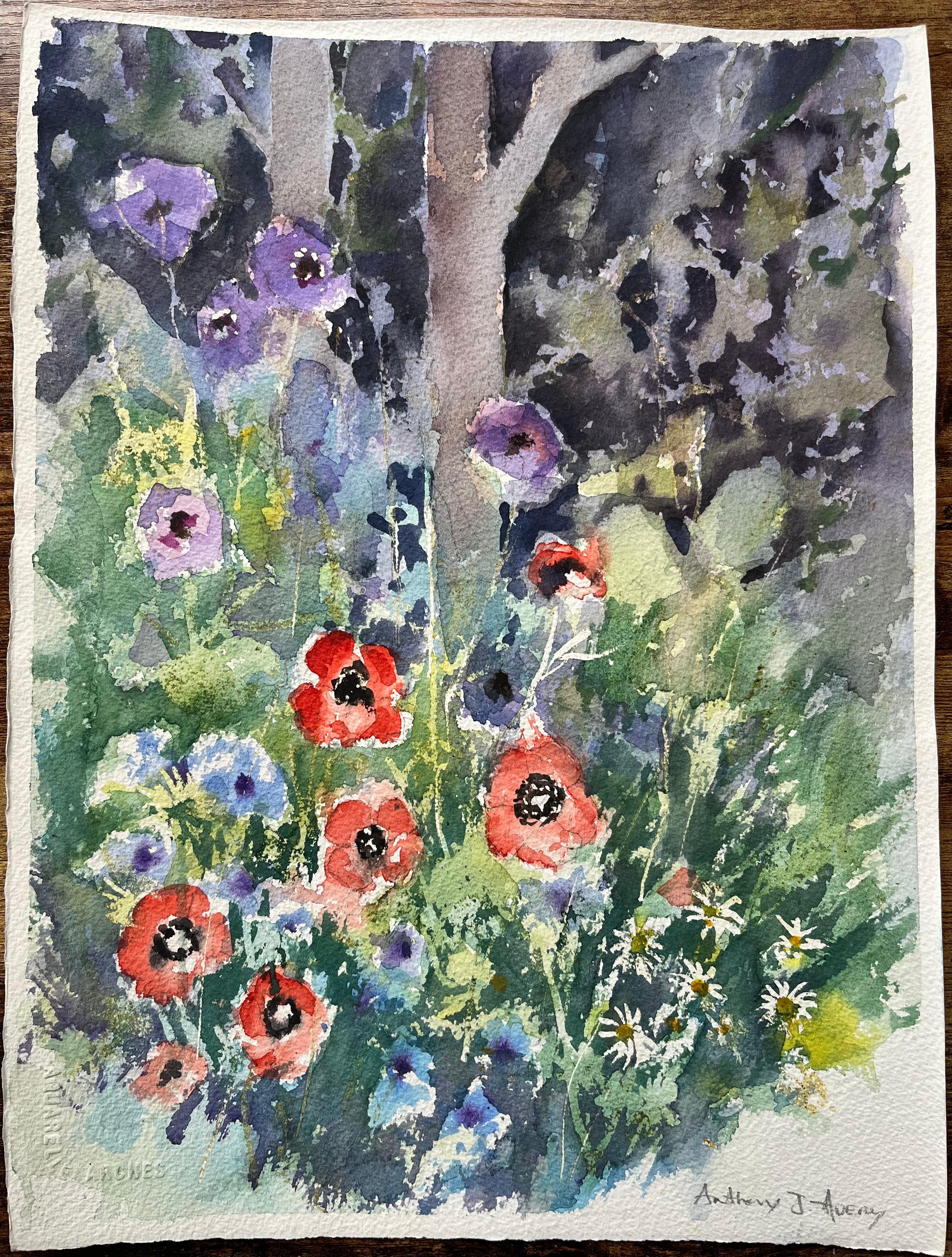 Acuarela impresionista británica de vibrante escena de jardín con amapolas y margaritas - Painting de Anthony Avery