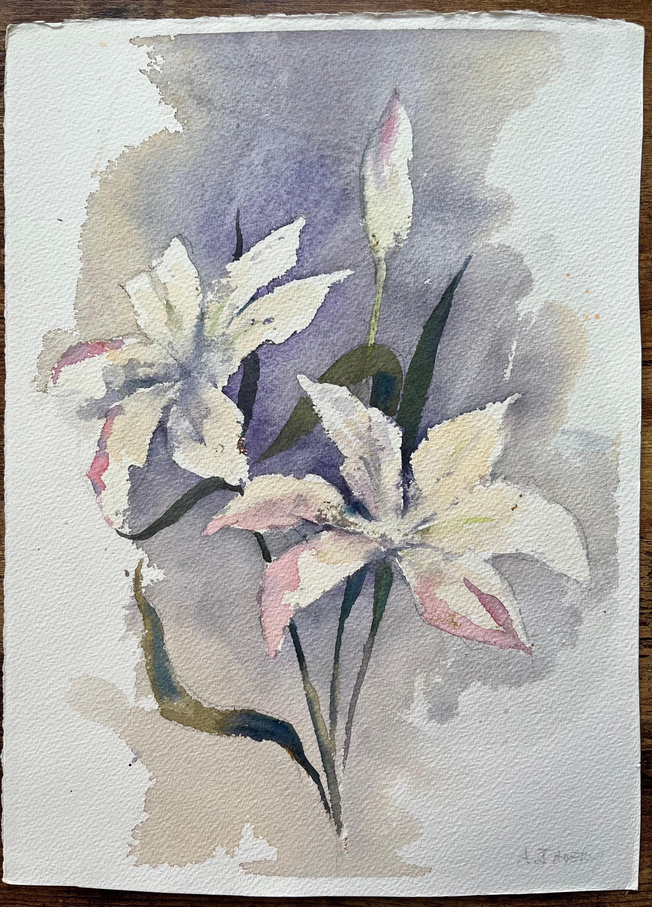 Britischer Impressionist Aquarell von weißen Lilien auf einem Lavendel Hintergrund – Painting von Anthony Avery