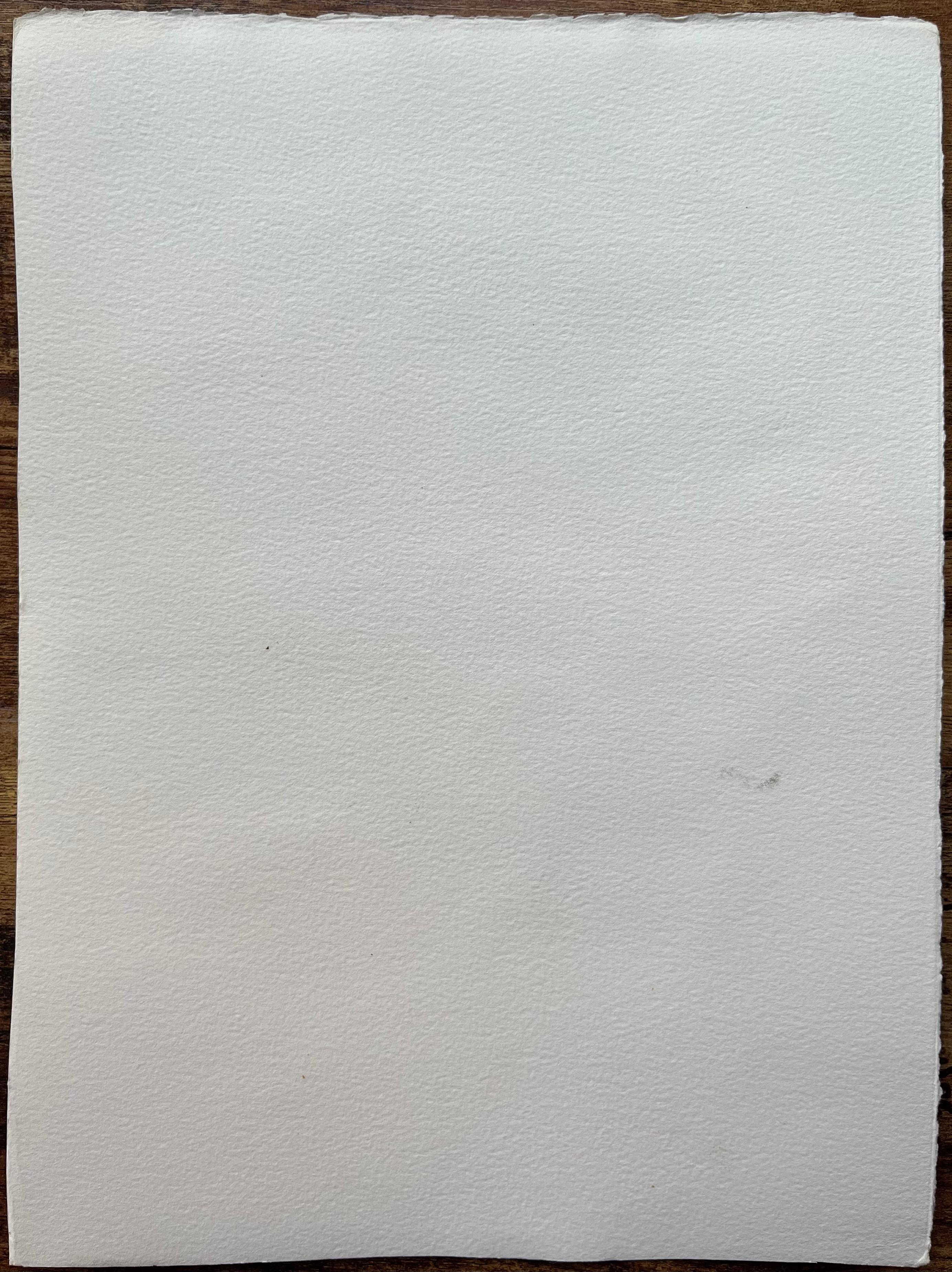 Britischer Impressionist Aquarell von weißen Lilien auf einem Lavendel Hintergrund im Angebot 2