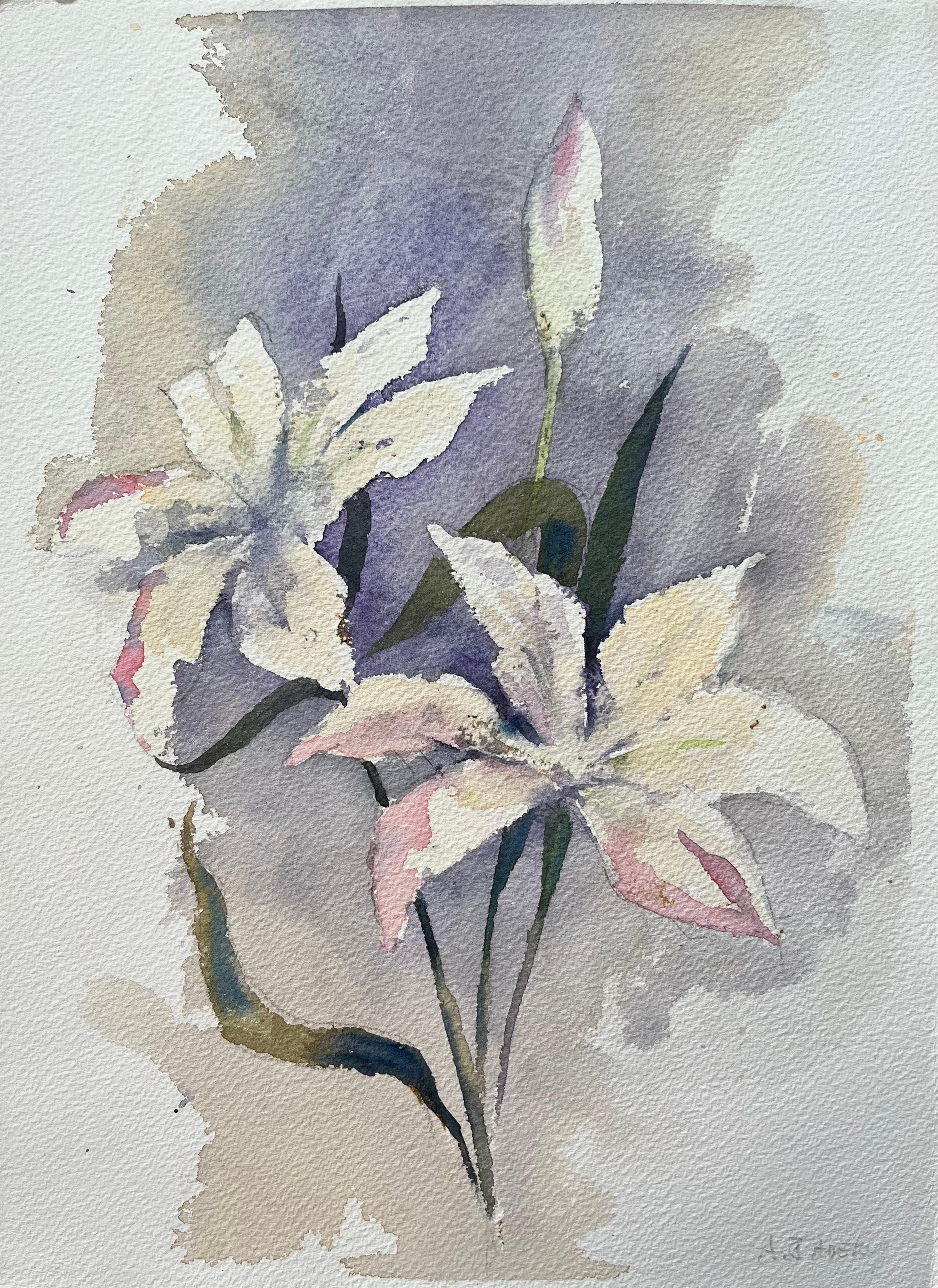 Anthony Avery Landscape Painting – Britischer Impressionist Aquarell von weißen Lilien auf einem Lavendel Hintergrund