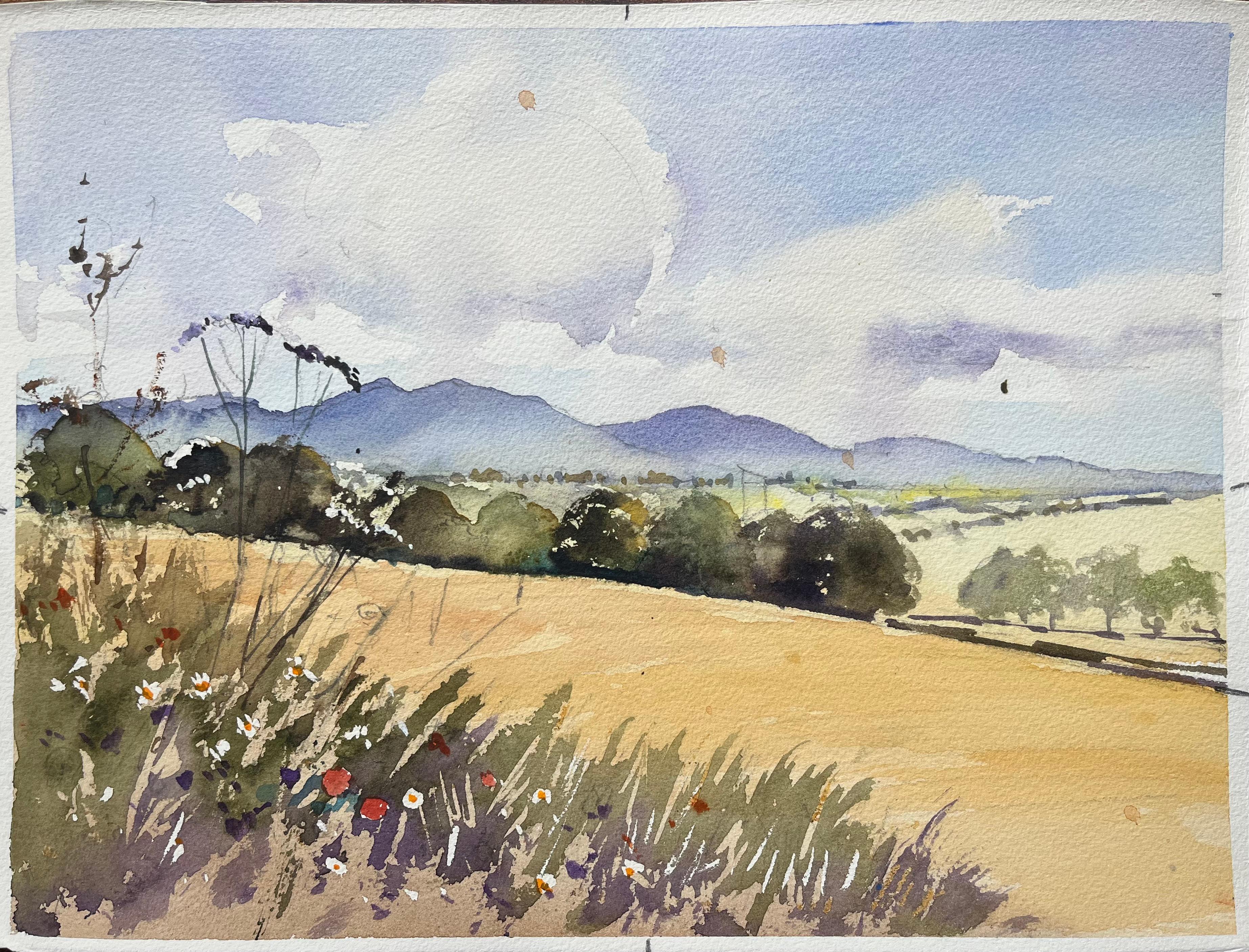 Britisches impressionistisches Aquarell mit Wildblumen, Feldern und Rolling Hills, British Impressionismus