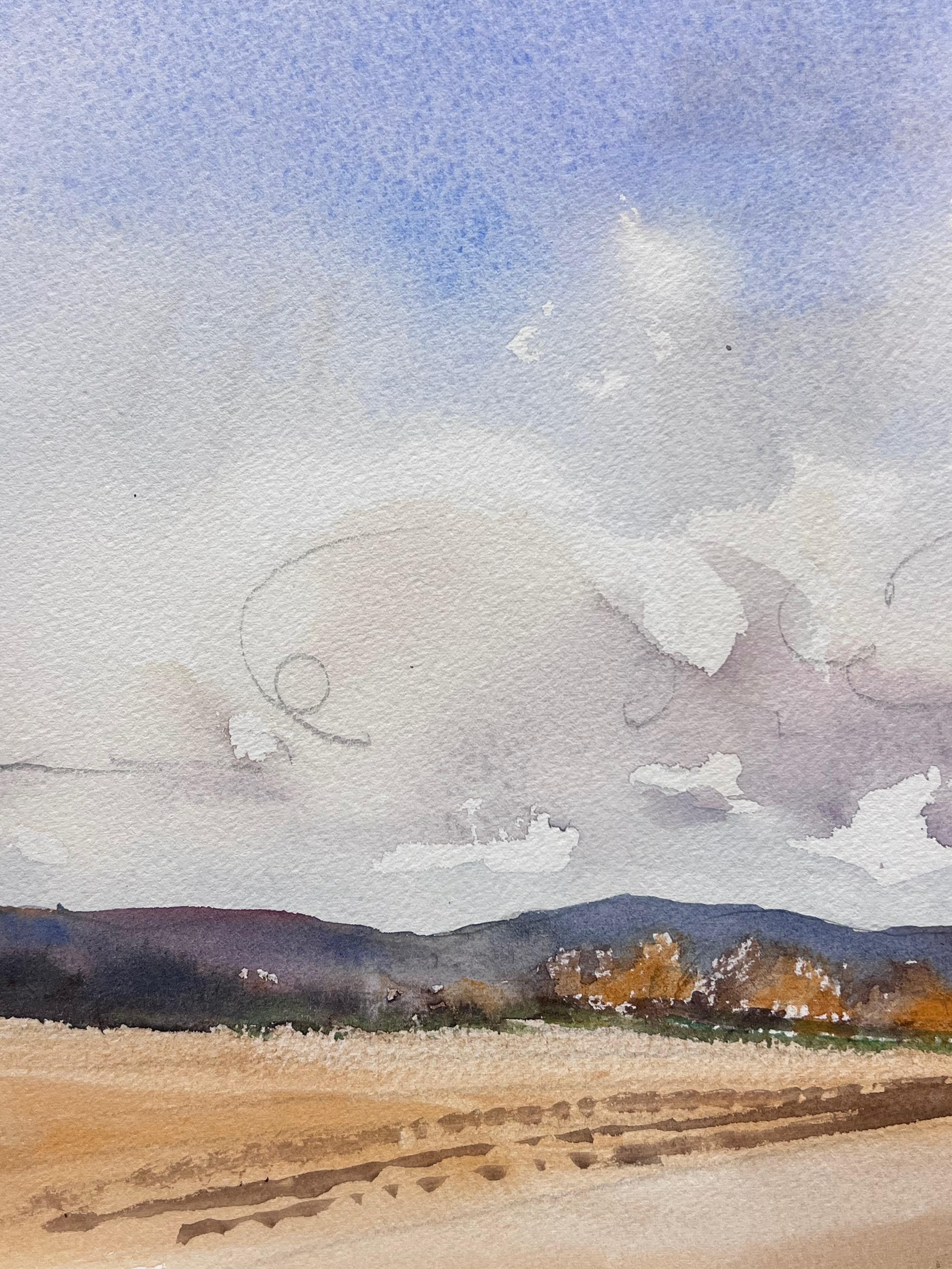 British Original Impressionist Watercolor Rural Farm Fields Fluffy Clouds - Gray Landscape Painting by Anthony Avery