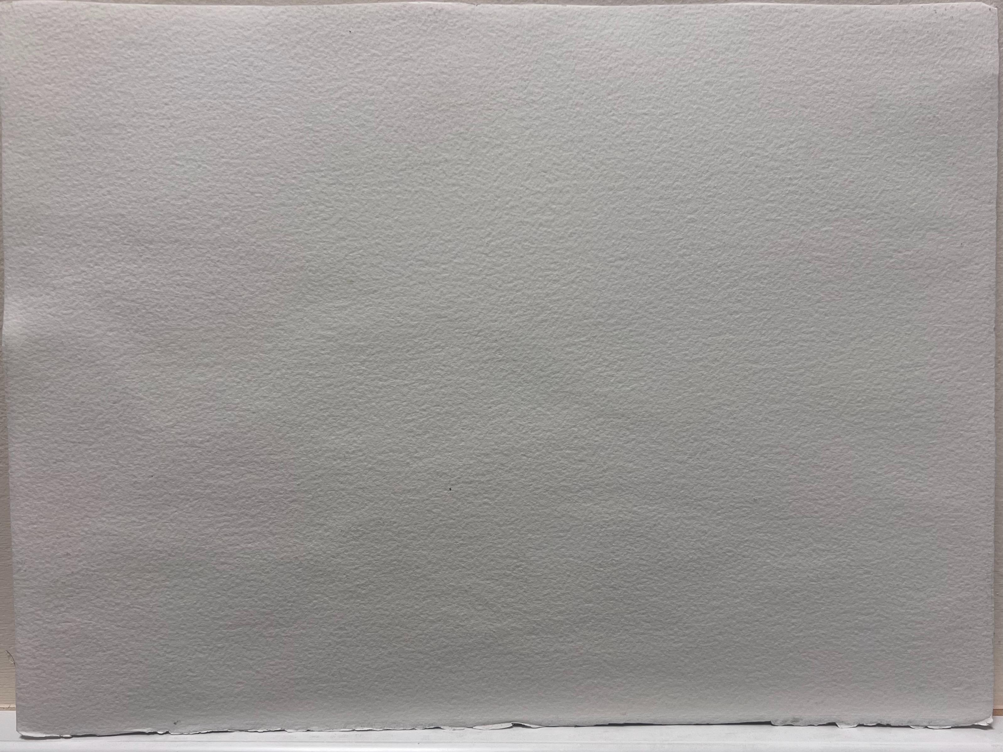 di Anthony Avery (Regno Unito, 1946-2023) * vedi note sotto
acquerello originale su carta d'artista, non firmato
bifacciale
dimensioni della carta: 11 x 15 pollici
condizioni: ottime e pronte per essere gustate. 
provenienza: da un'ampia collezione