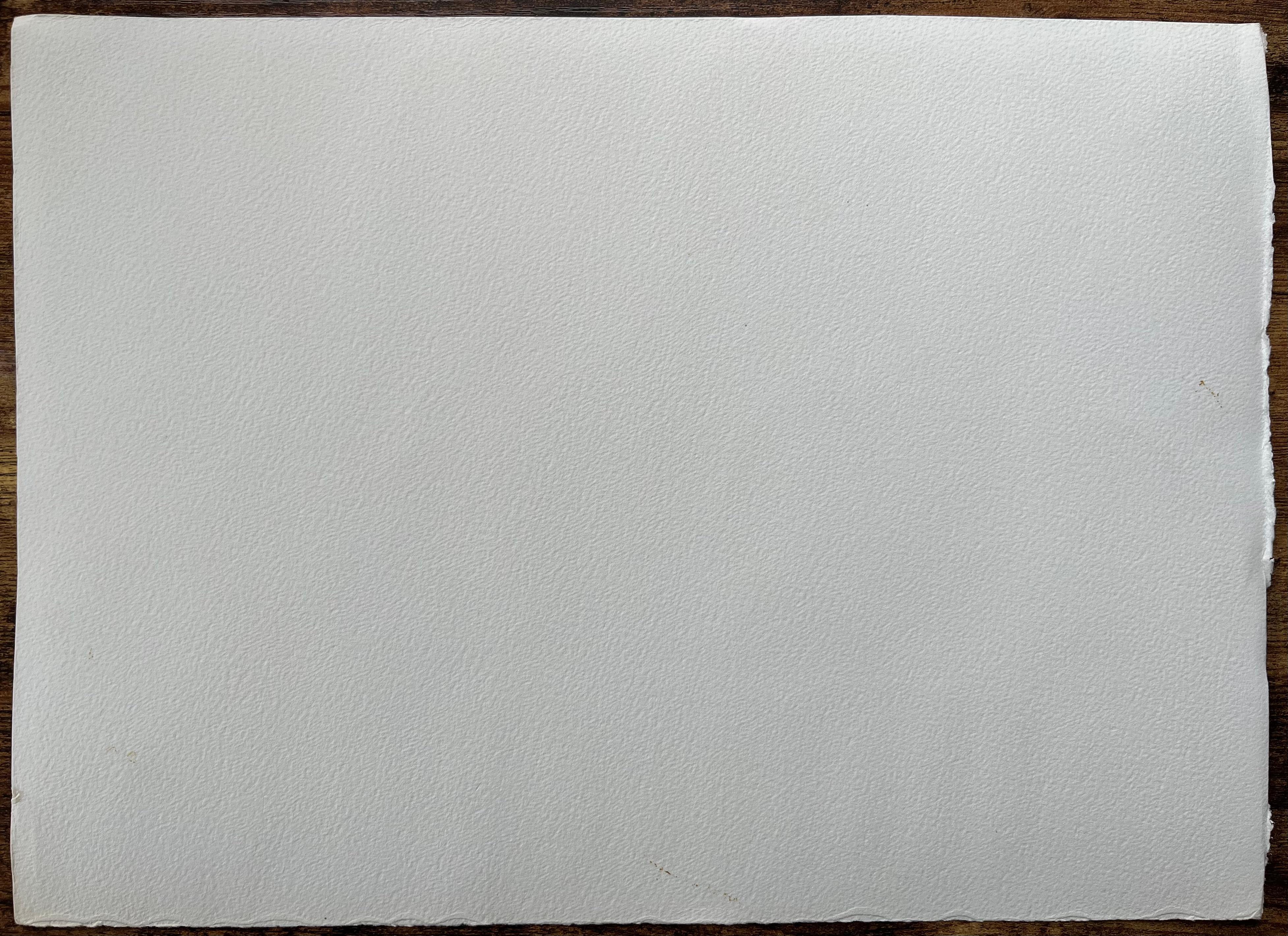 Britisches Original-Aquarell eines Schlosses mit Schwanen auf dem Fluss im Angebot 2