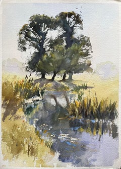 Original britisches Original-Aquarell eines Marshland-Gebirges mit Bäumen, Reflektionen und Schwanen