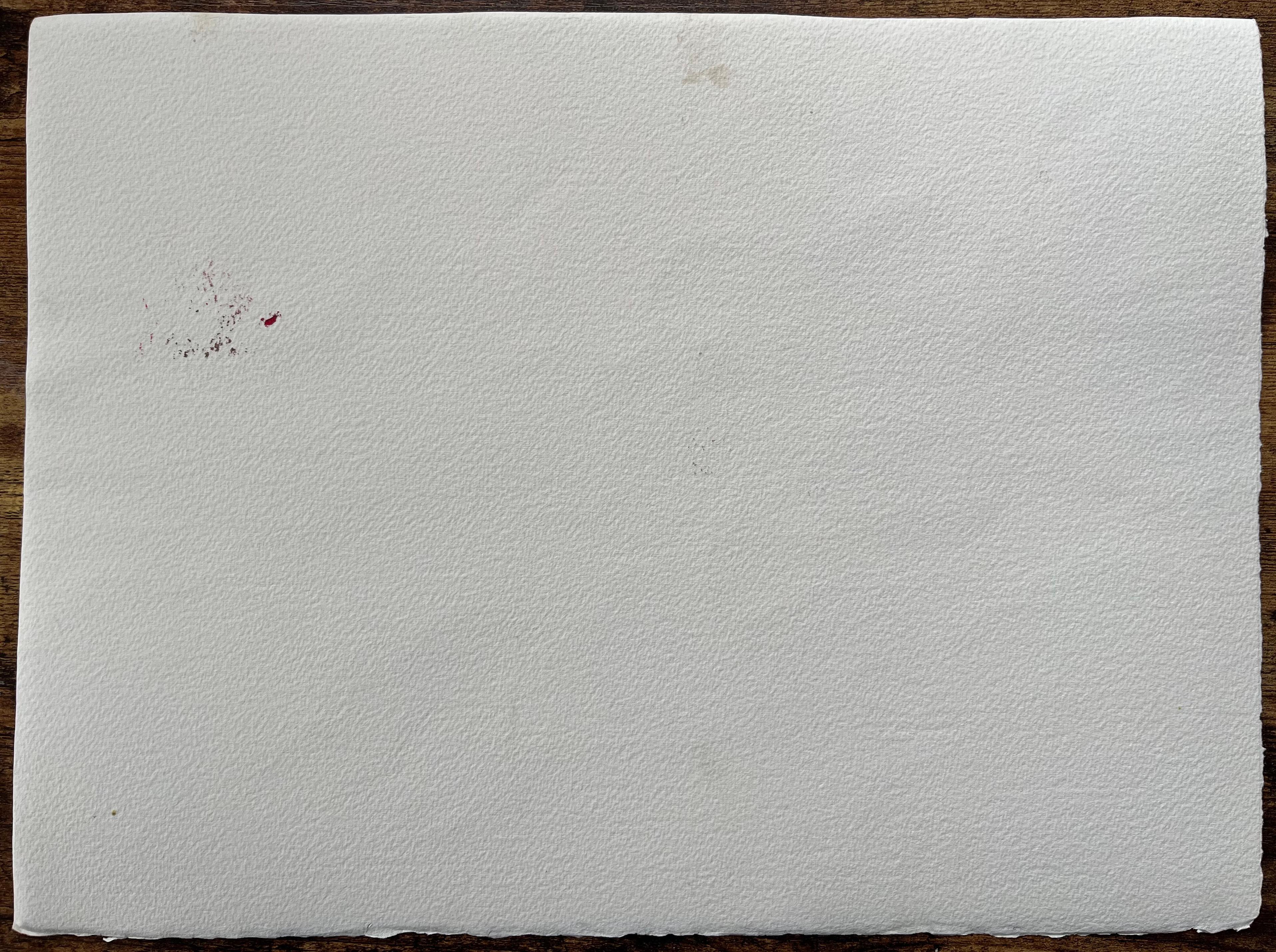 Britisches Original-Aquarell mit rosa Blüten mit Biene, Britisch im Angebot 2