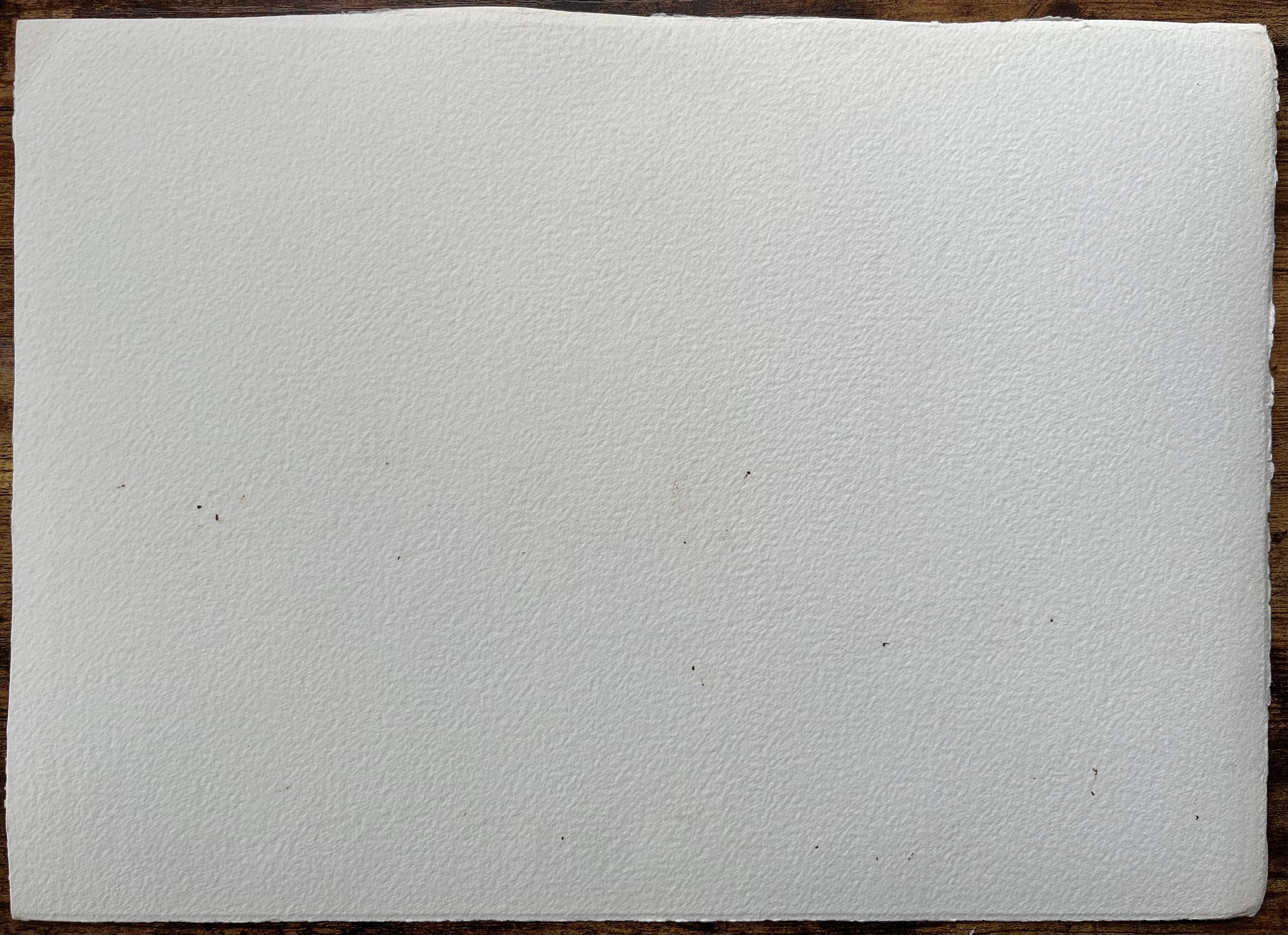 Britisches Aquarell einer rustikalen Brücke mit Schwanen auf einem Kalbs Fluss, Britisch im Angebot 2