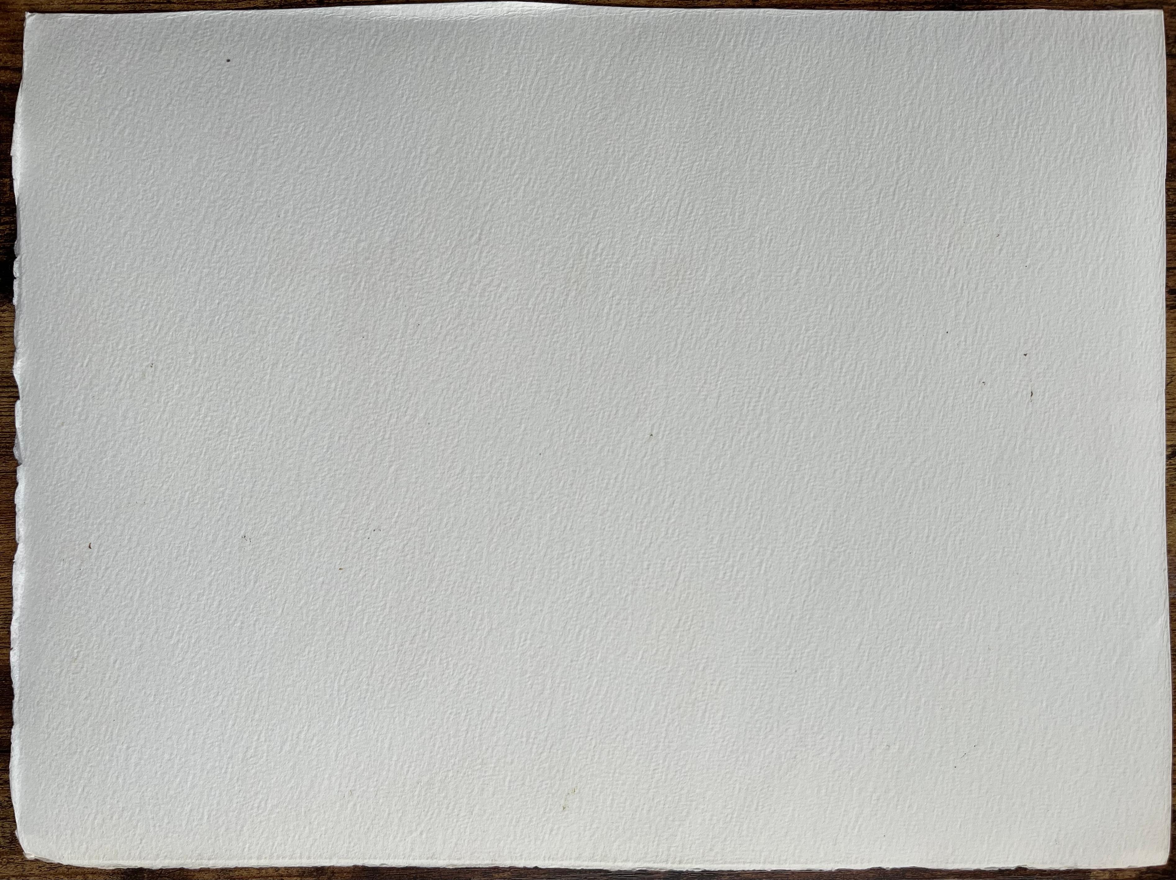 Britisches Aquarell eines rustikalen Cottage-Gartens in voller Blüte im Angebot 2