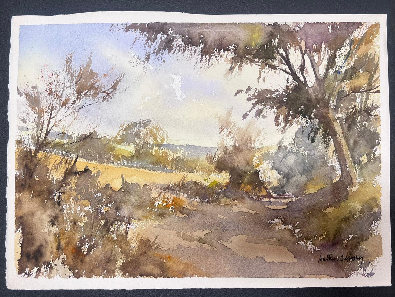 Fine British Original Impressionist Aquarell Brown Sandy Landweg – Painting von Anthony Avery