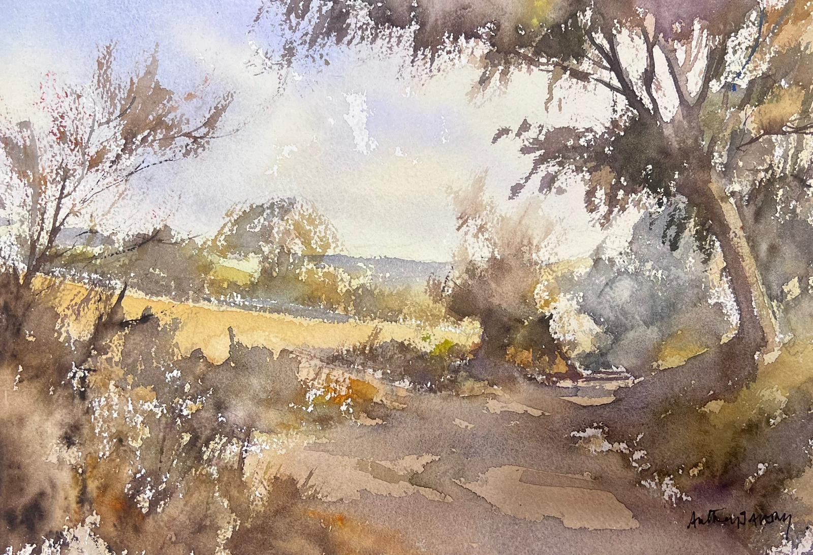 Anthony Avery Landscape Painting – Fine British Original Impressionist Aquarell Brown Sandy Landweg