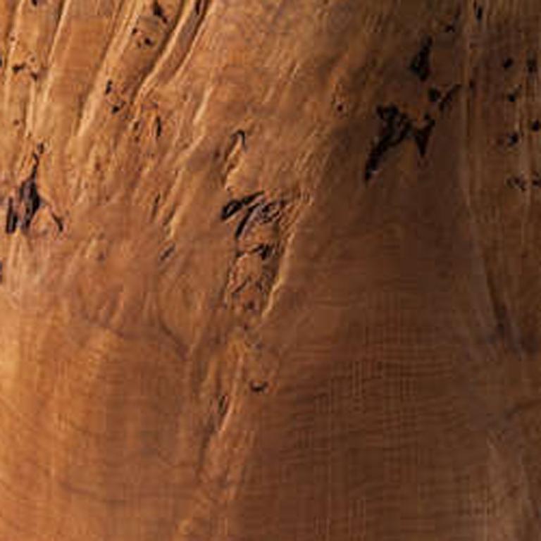 Vessel en ronce de chêne 3 - Marron Abstract Sculpture par Anthony Bryant