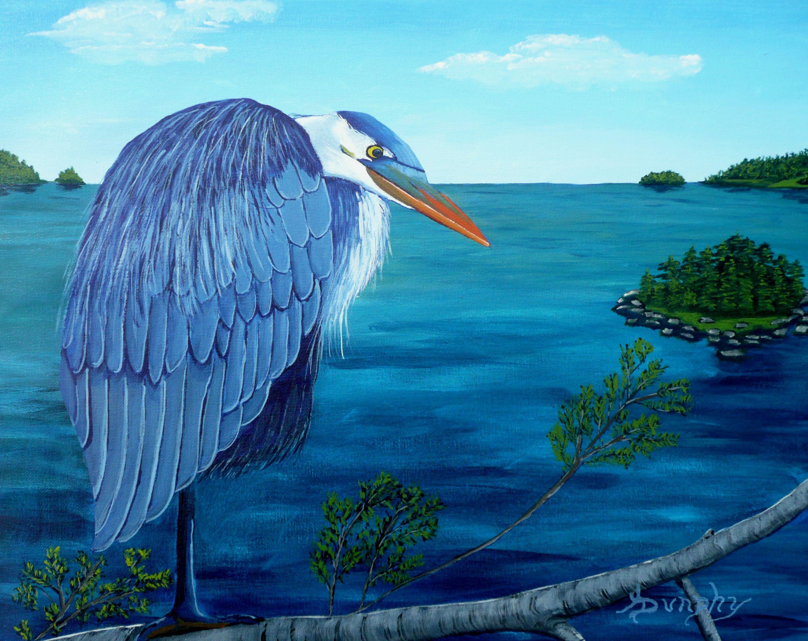 On the Pacific Northwest coast of Canada and America you can fine these magnificent birds. The blue coloring helps the bird blend in with the land and sea. This nature painting has been created using only professional grade acrylics on un-stretched