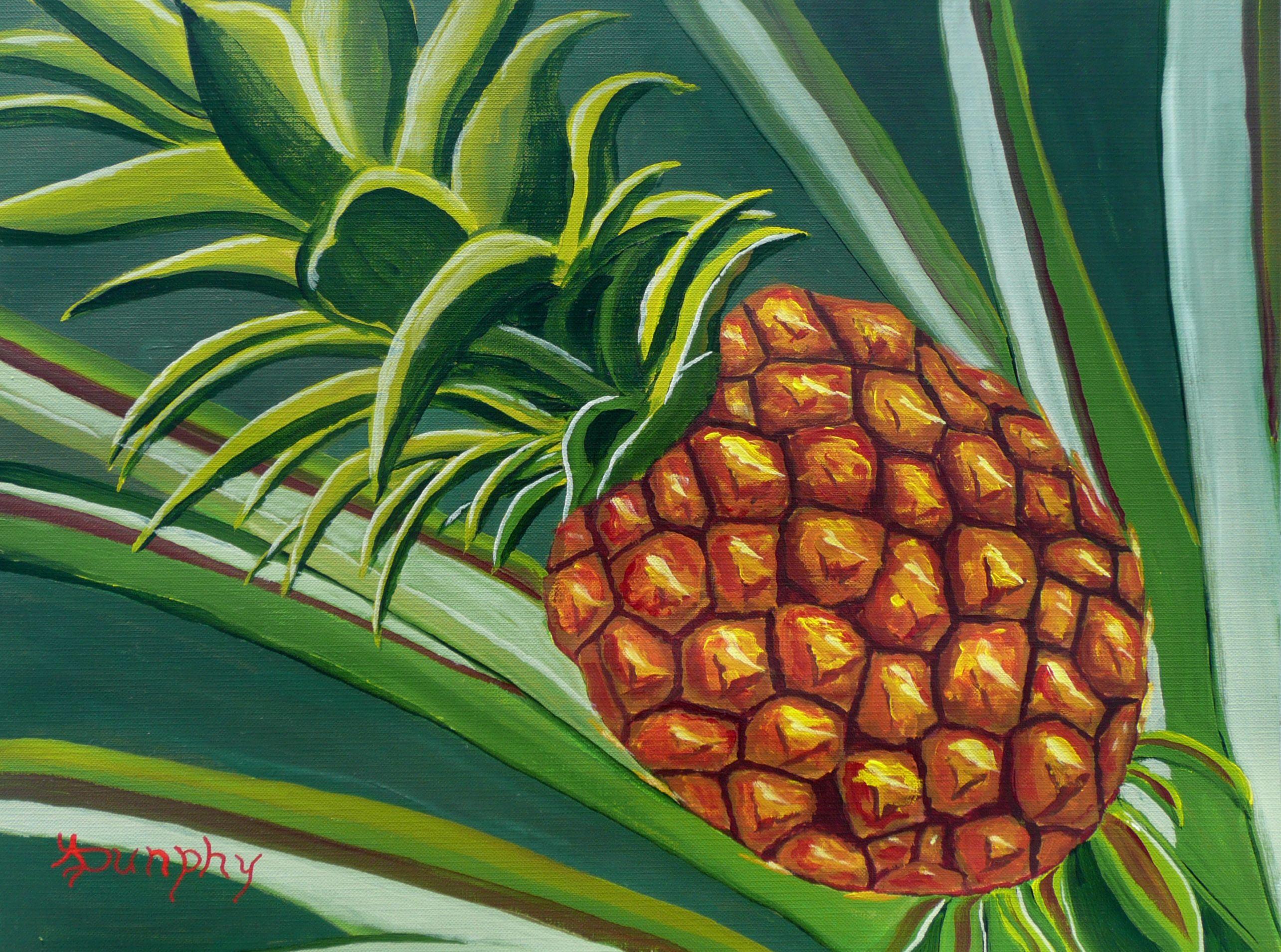 During a recent visit to the Dole pineapple plantation on the North Shore of Oahu, Hawaii, I i was fascinated by the endless fields of pineapples and so, decided to make a painting of this delicious fruit.    This painting has been created using