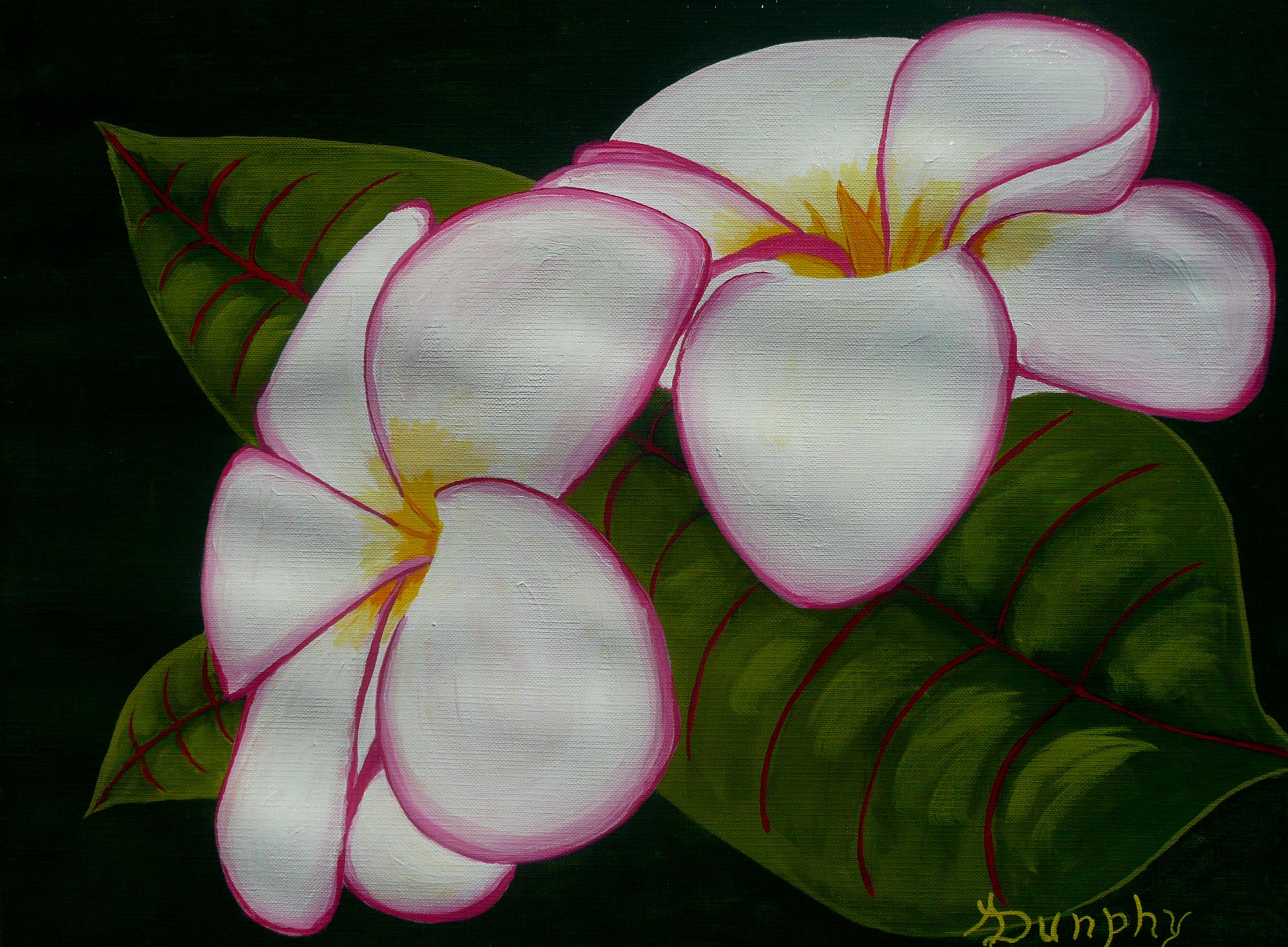 A fragrant plumeria found on the tropical islands. I took the reference shot for this painting on a recent trip to Oahu, Hawaii.  This painting has been created using professional grade acrylics on 118lb archival quality canvas paper. The size is