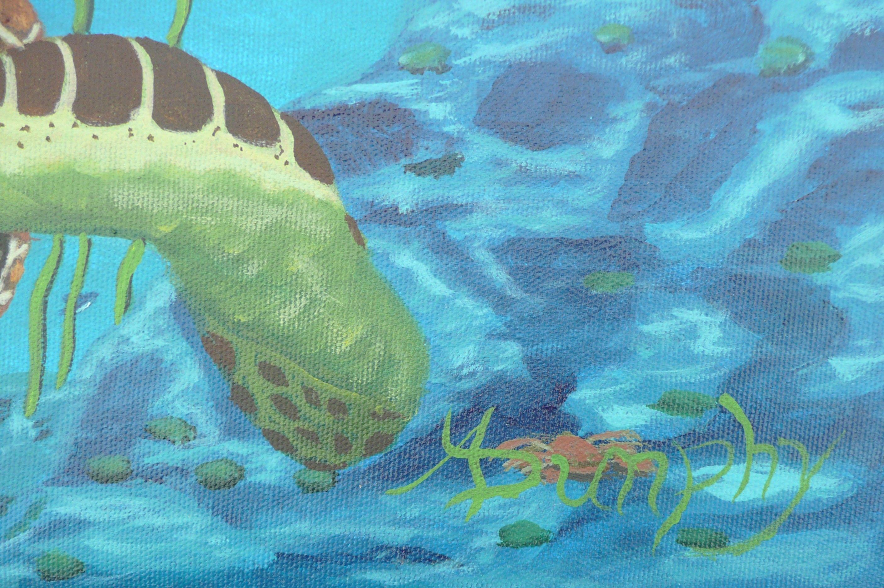 painted sea turtle
