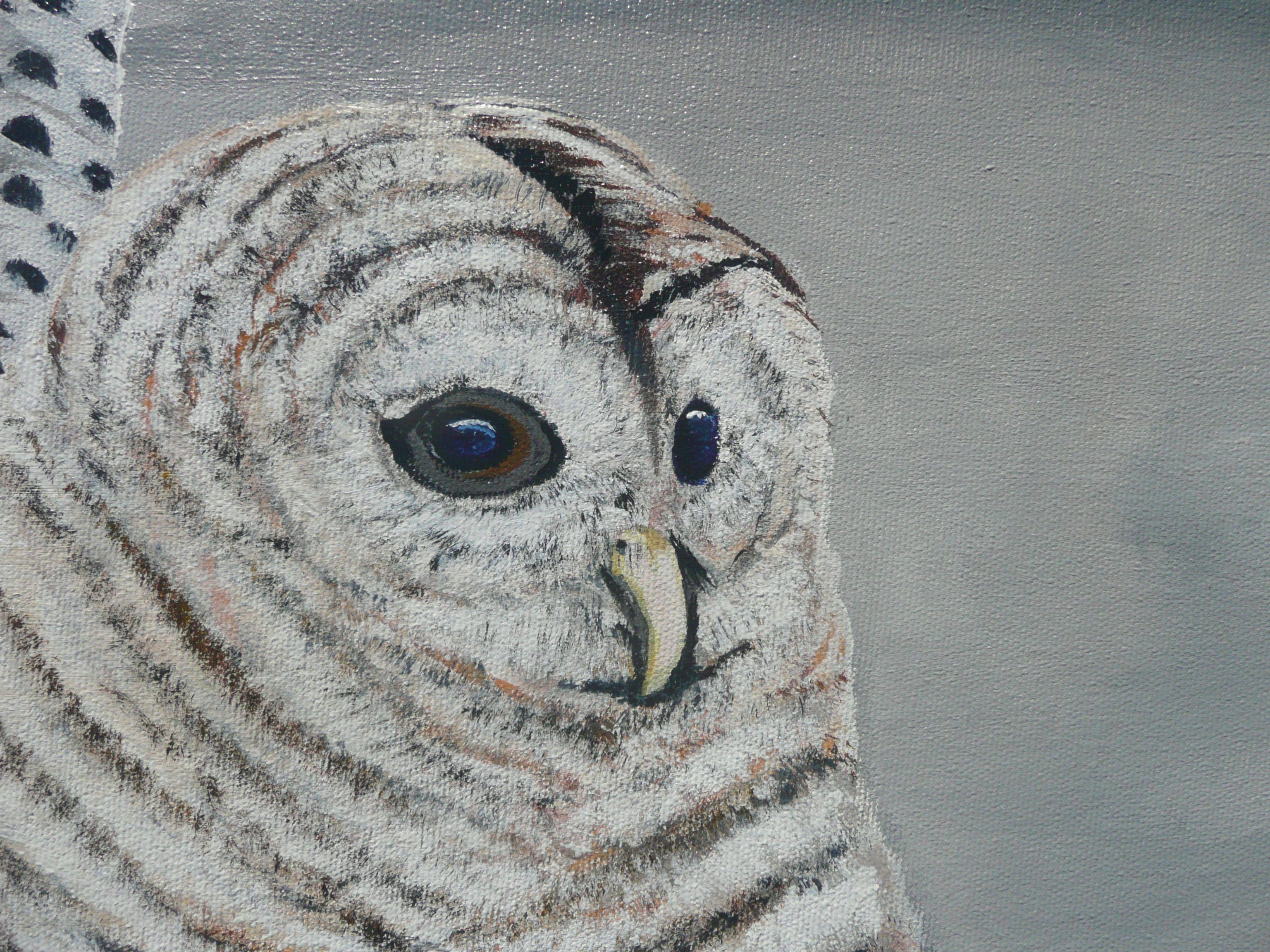 snowy owl paintings
