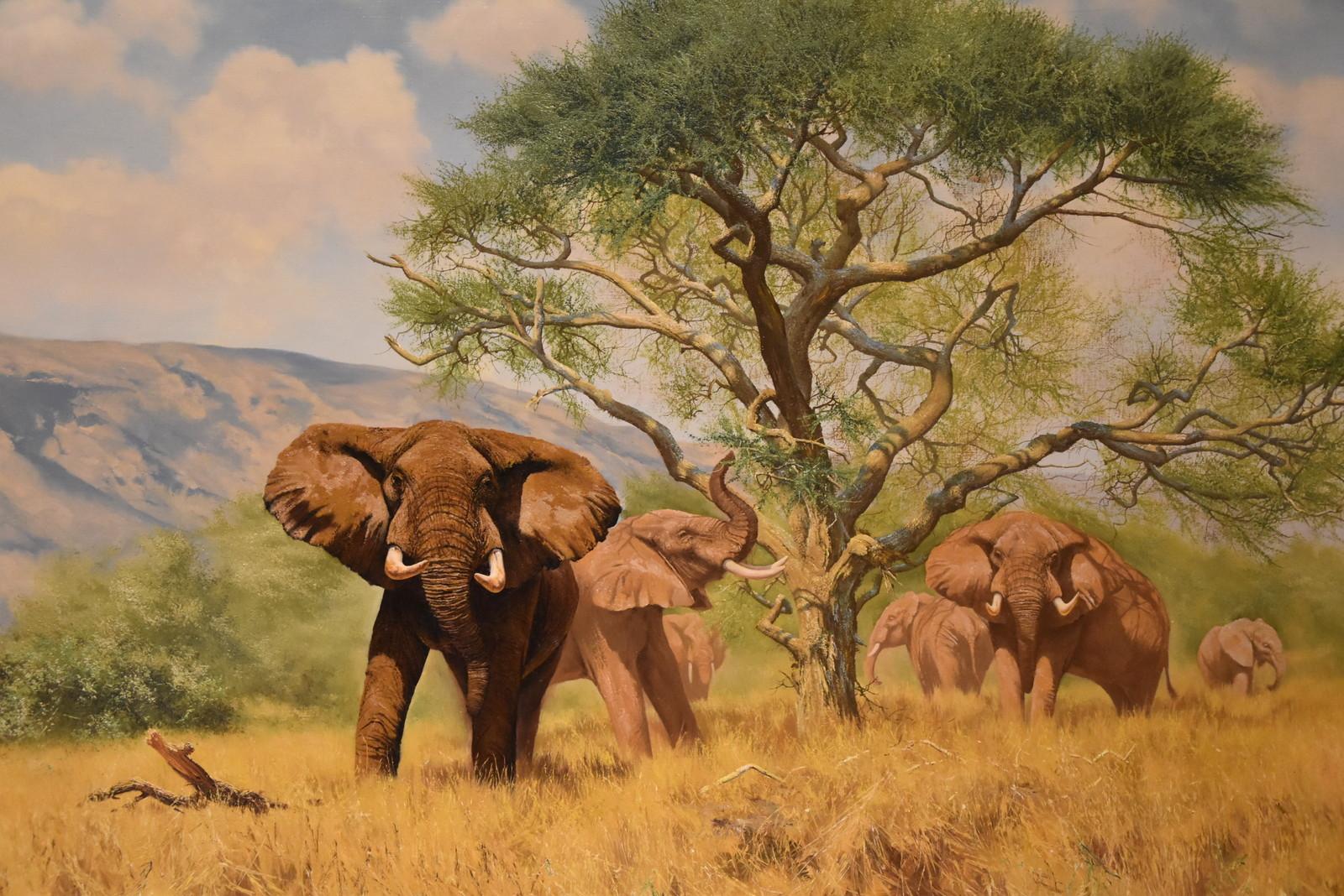 "Sombra de acacia", de Anthony Gibbs. Anthony Gibbs, nacido en 1951, es un popular pintor de fauna salvaje de las Midlands. Estudió en la Escuela de Arte de Bournmouth. Óleo sobre lienzo. Firmado.

Dimensiones sin enmarcar
altura 24" x anchura