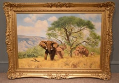 "Acacia Shade" by Anthony Gibbs