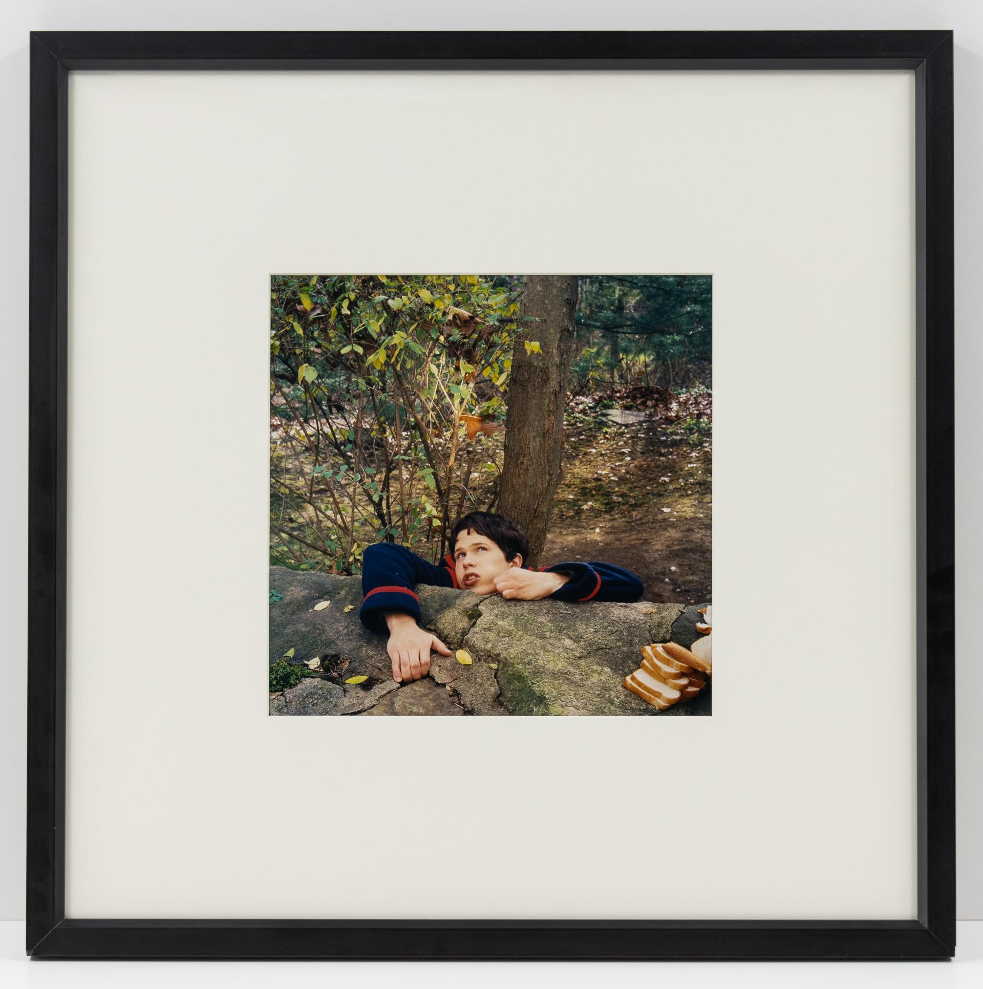 Pane - Photograph Contemporaneo di Anthony Goicolea