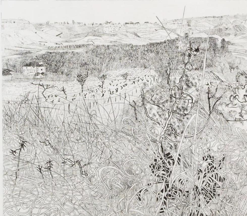 Wintergräser – Schwarz-Weiß-Radierung von Landschaft und Pflanzen, 1972 (Grau), Figurative Print, von Anthony Gross