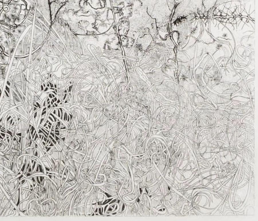 Wintergräser, 1972
signiert, betitelt und datiert
Ätzen
39 x 52 cm
15 3/8 x 20 1/2 in