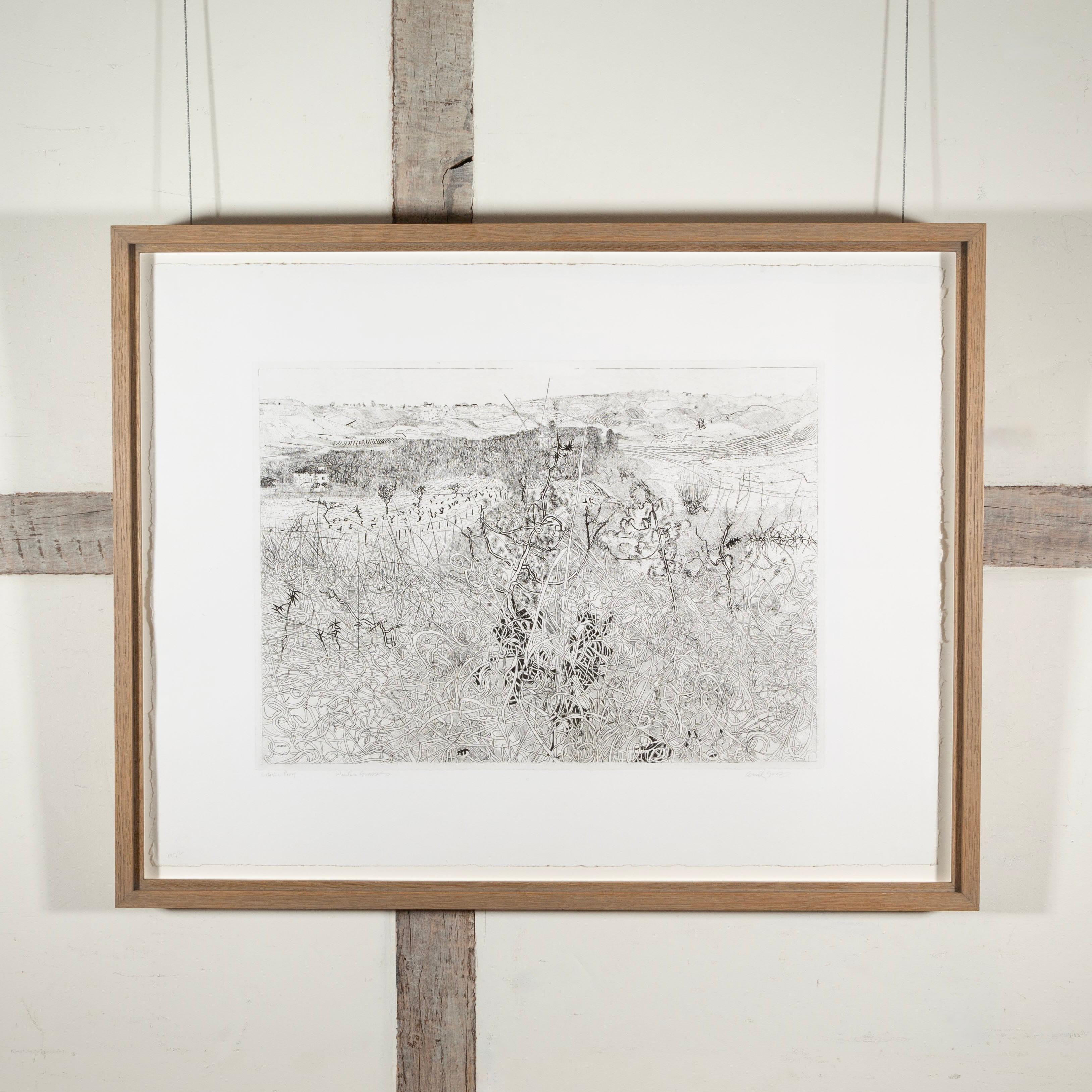 Wintergräser – Schwarz-Weiß-Radierung von Landschaft und Pflanzen, 1972 – Print von Anthony Gross
