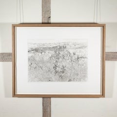 Winter Grasses - Black and White Etching of Landscape and Plants, 1972