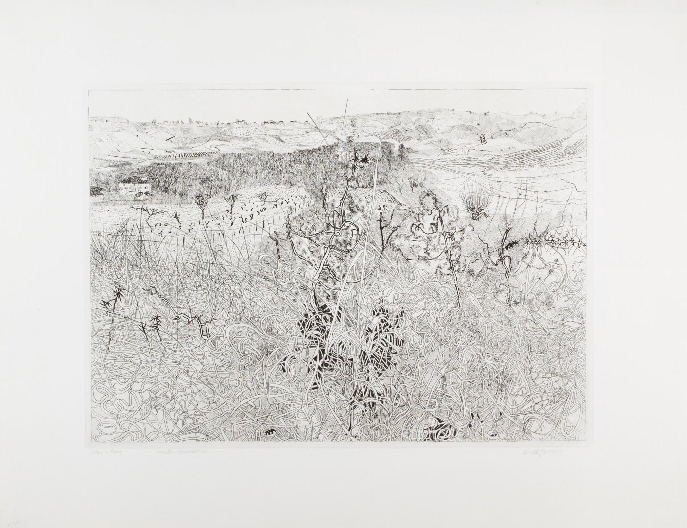 Winter Grasses - Black and White Etching of Landscape and Plants, 1972