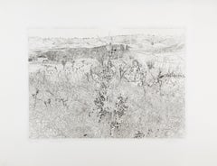 Hierbas de invierno - Aguafuerte en blanco y negro de paisaje y plantas, 1972