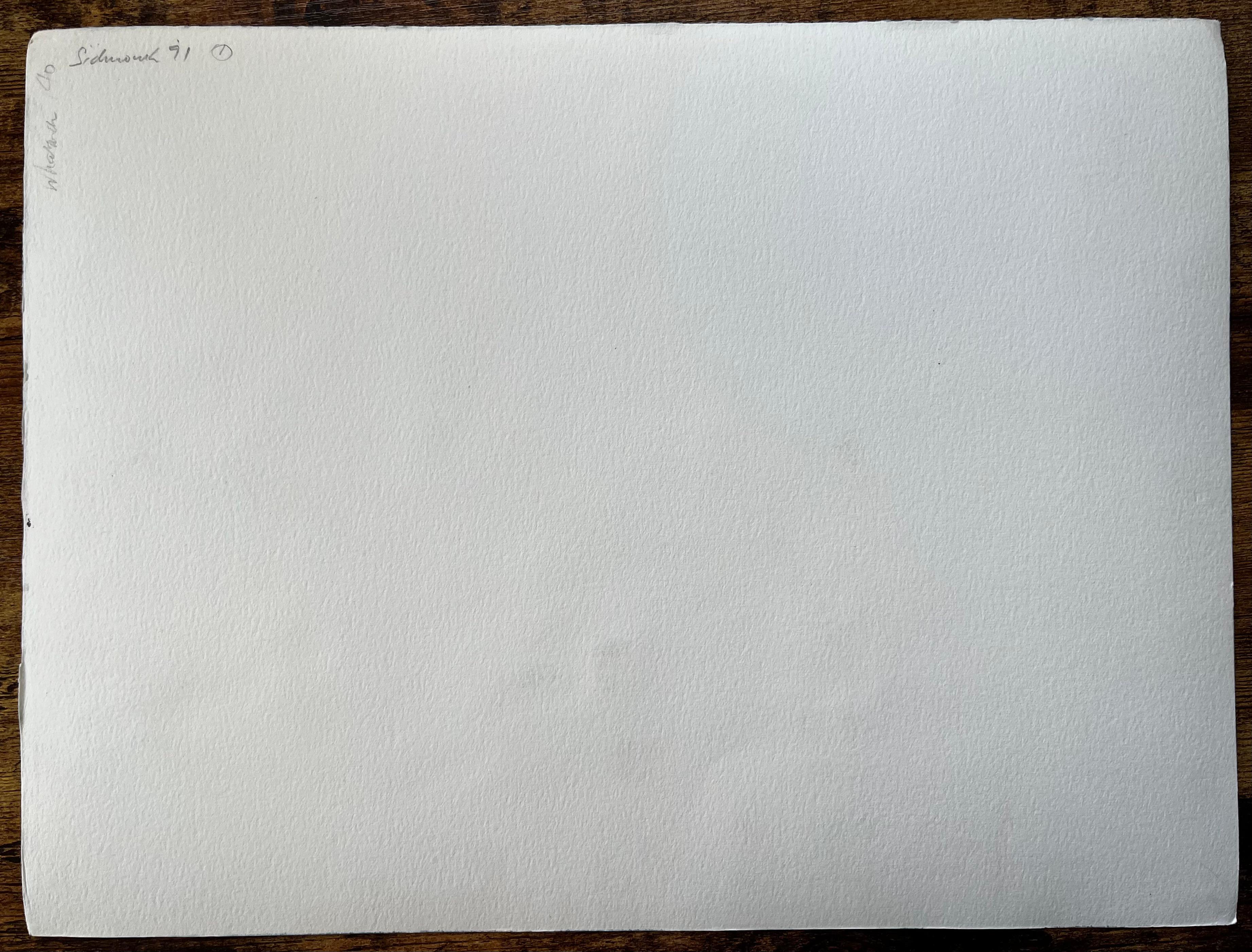1991 Aquarell von Sidmouth, Ost-Devon, mit Klippen, Meer und Küstenortschaft im Angebot 3