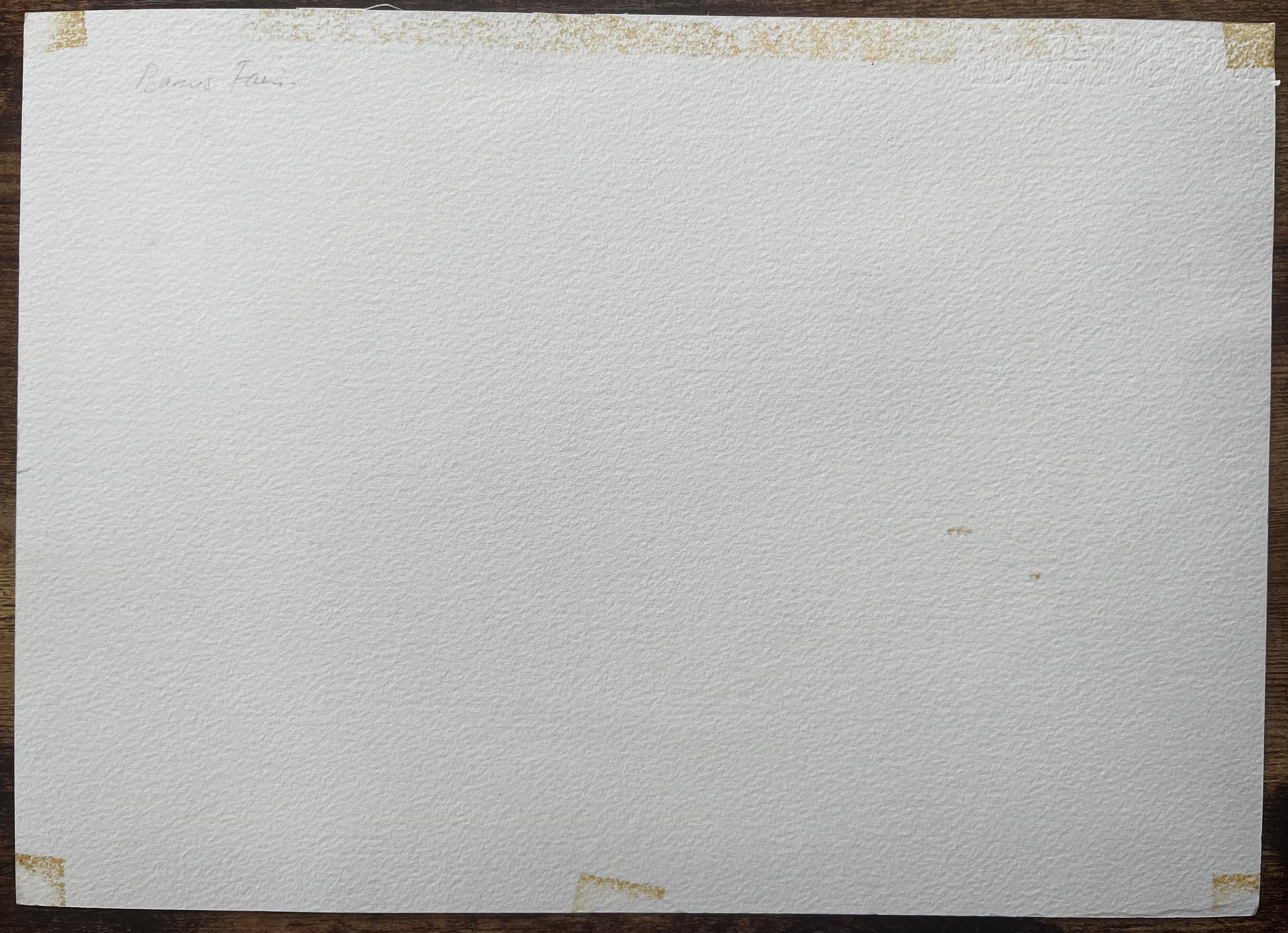 Borough Farm Fair Scene mit Marktständen und Bäumen Aquarellmalerei im Angebot 3